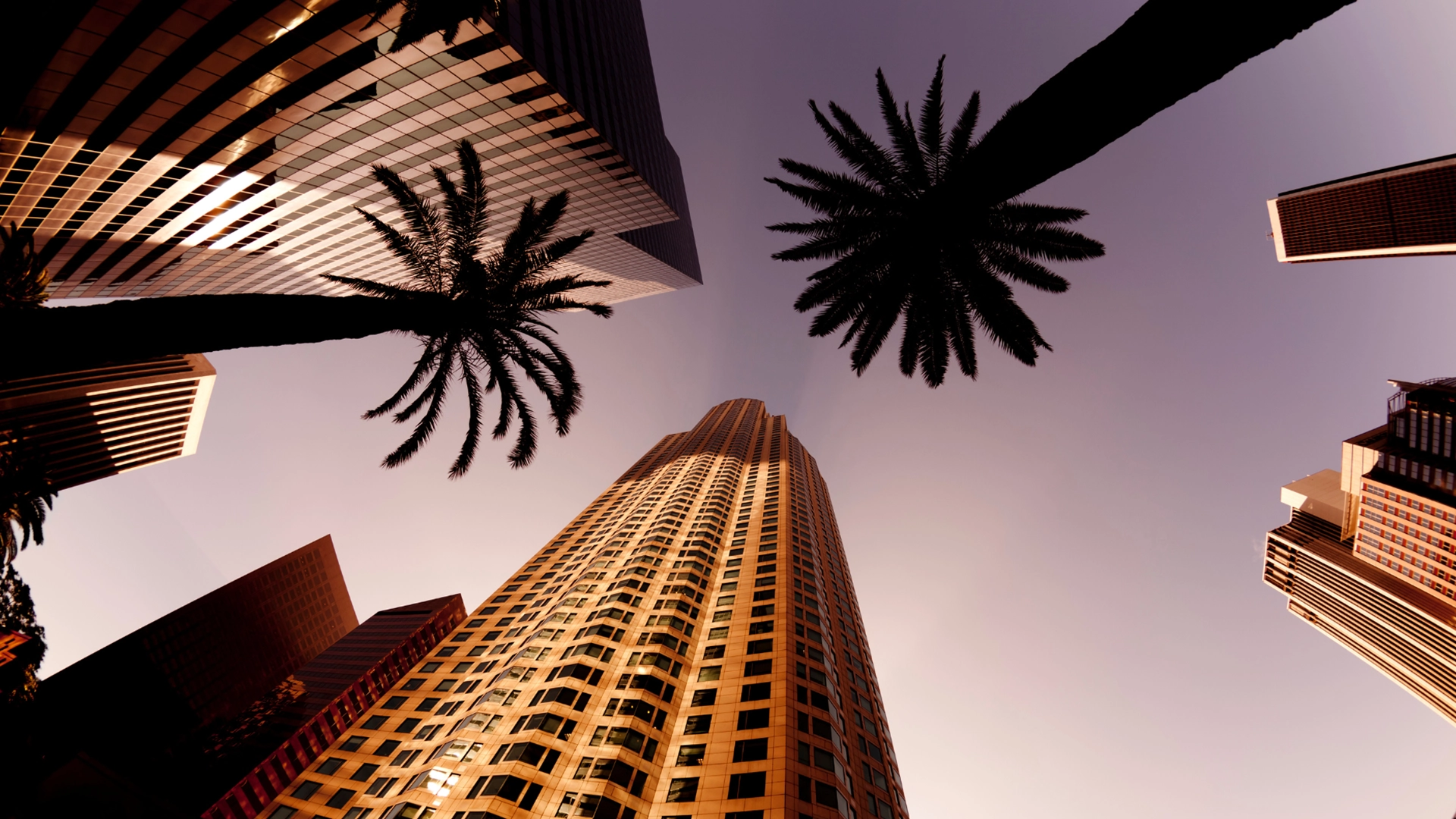 Personal injury legal support in Florence-Graham