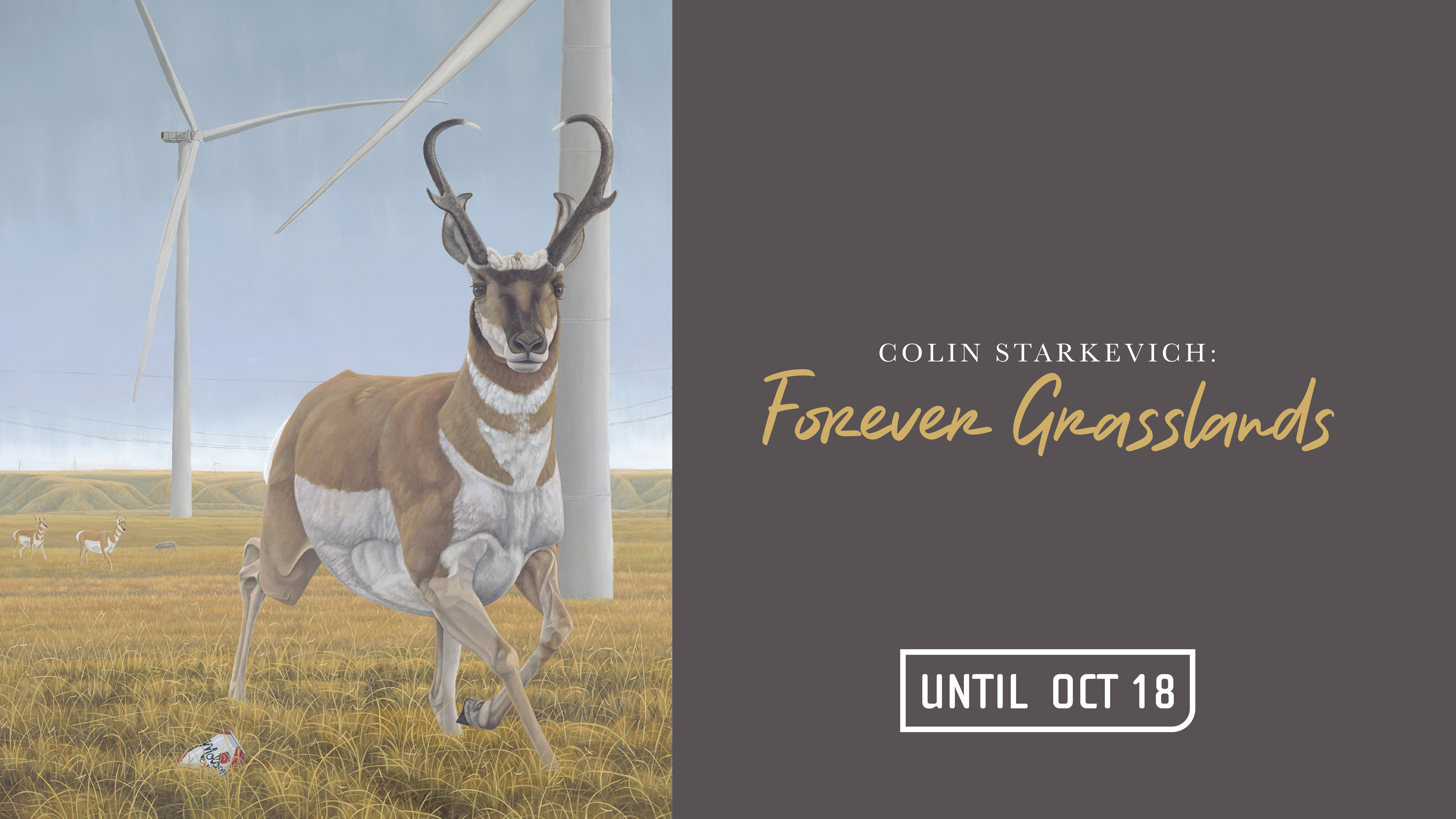 Colin Starkevich: Forever Grasslands