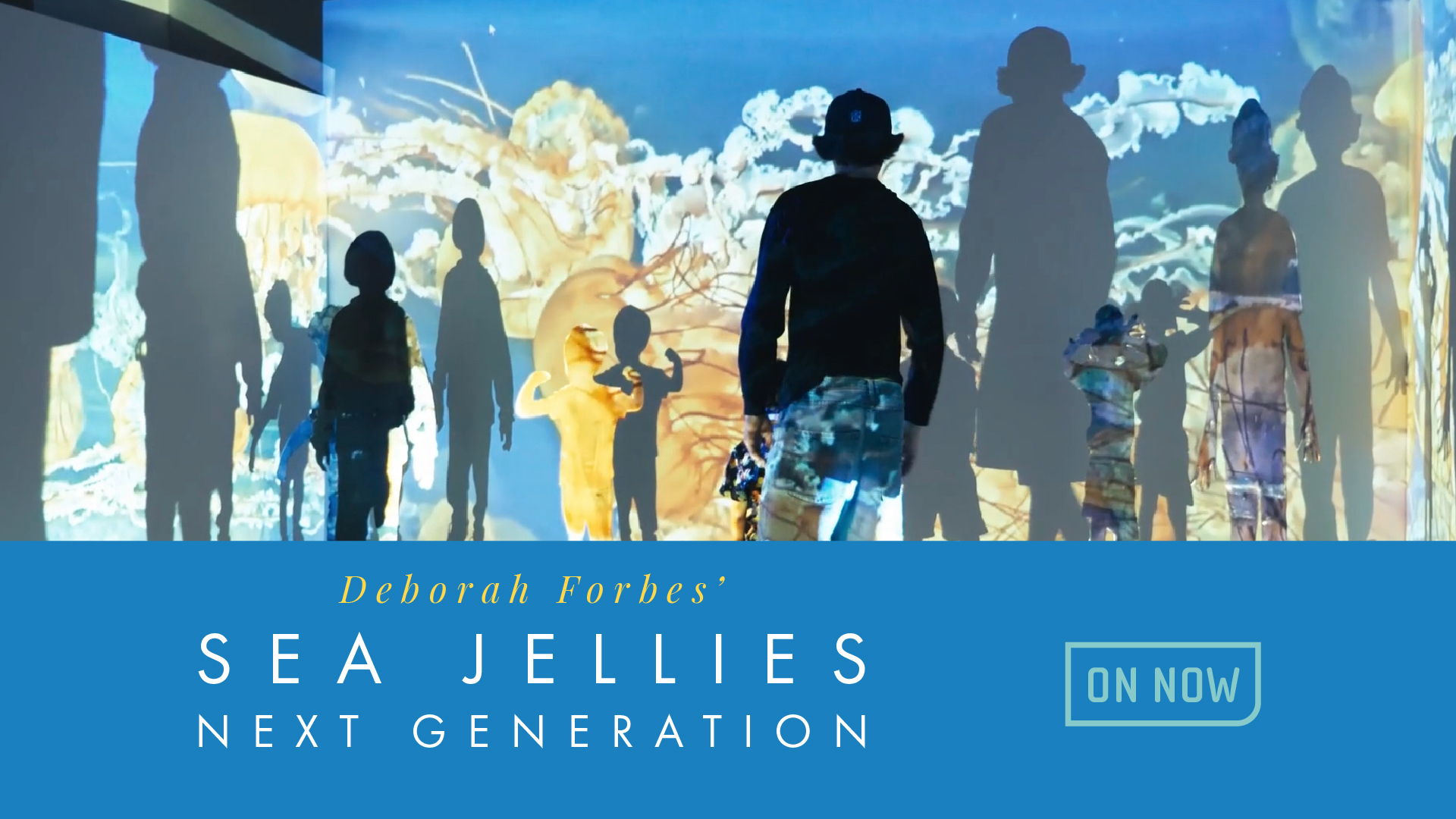 Sea Jellies: Next Generation by Dr. Deborah Forbes