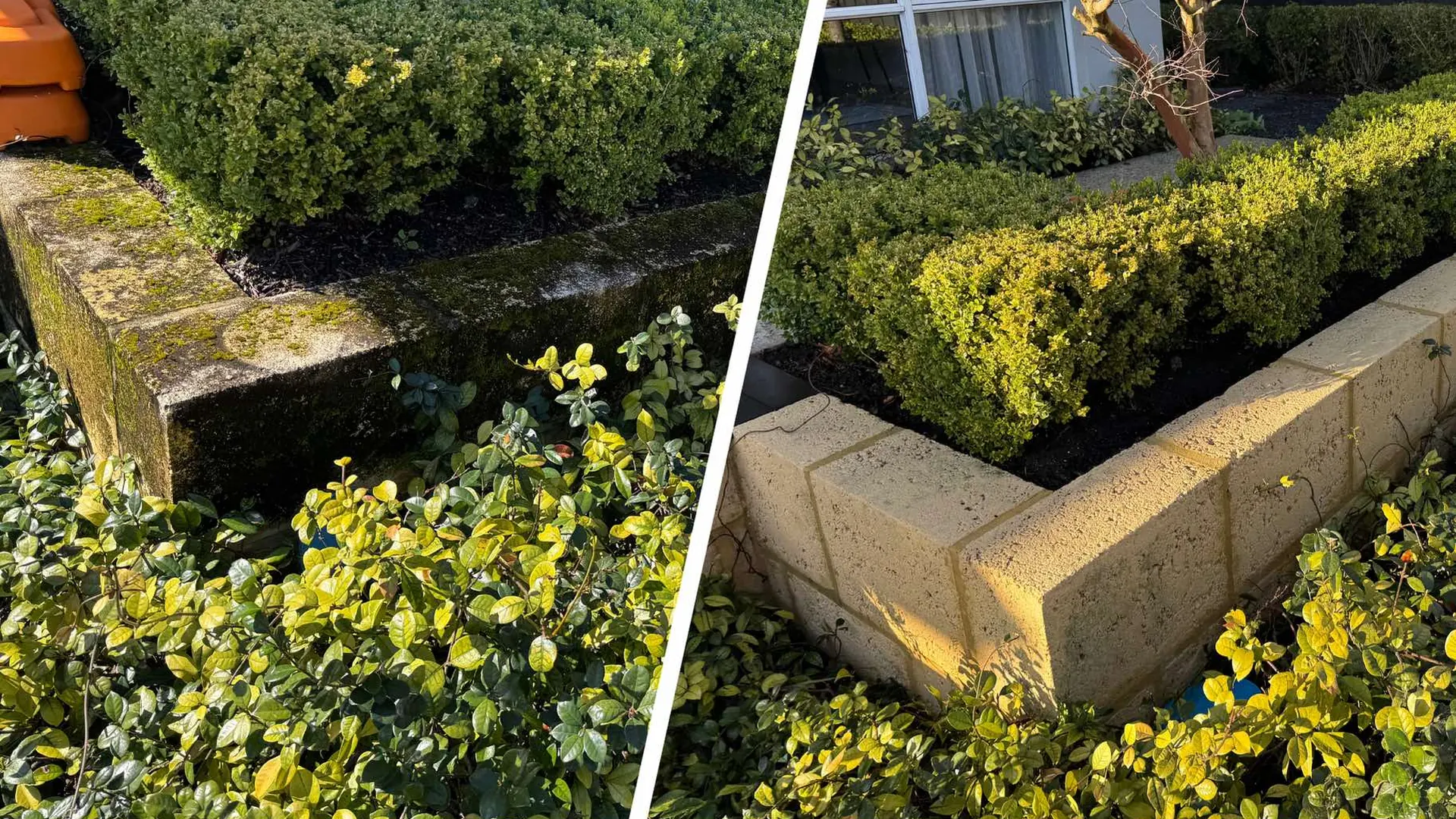 Limestone before and after soft washing in Bicton, Perth