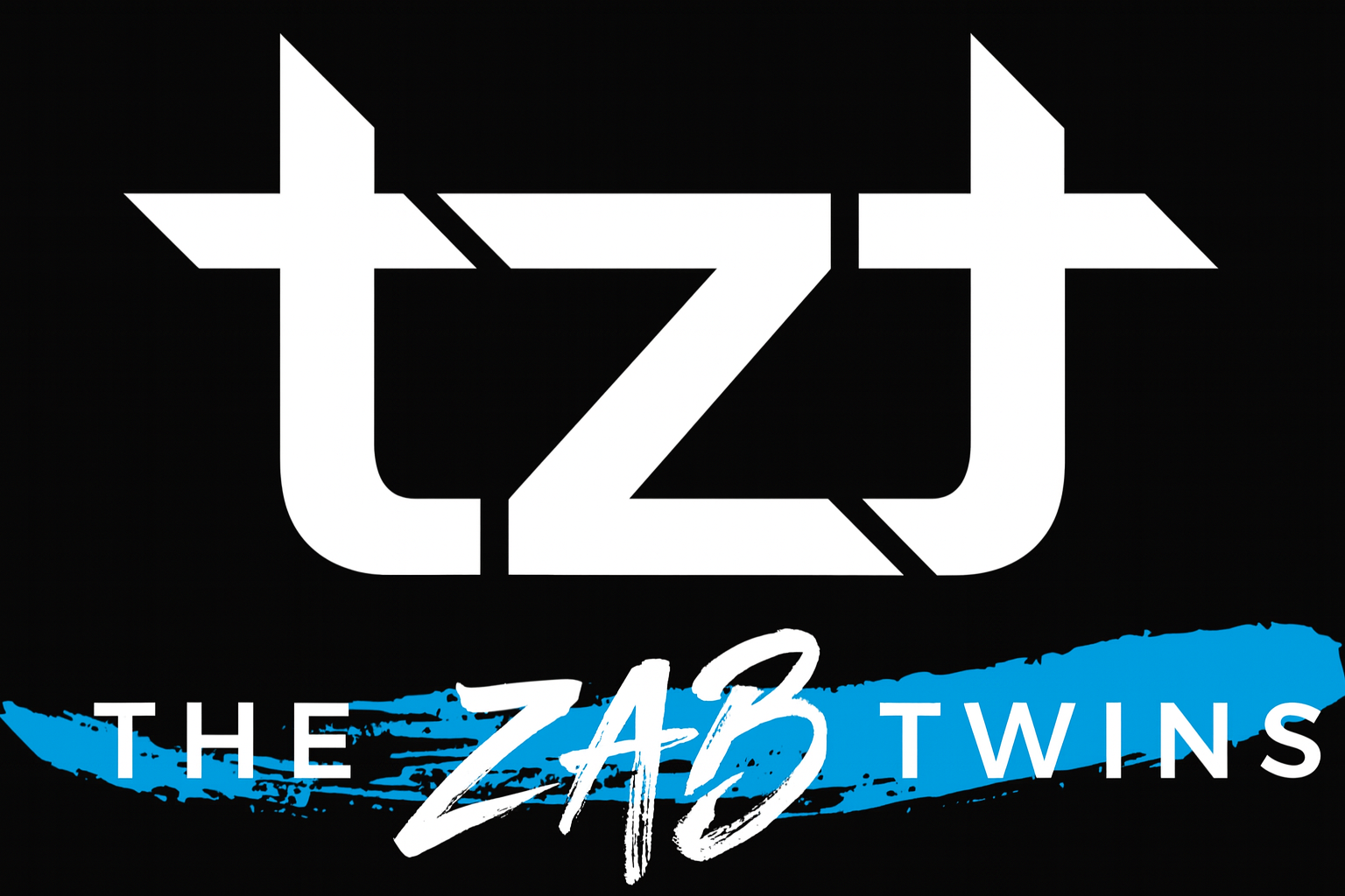 The Zab Twins Amazon Consulting