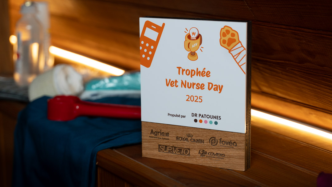 Trophée qui sera remis à la lauréate de l'édition 2025 - Charlotte Mathieu