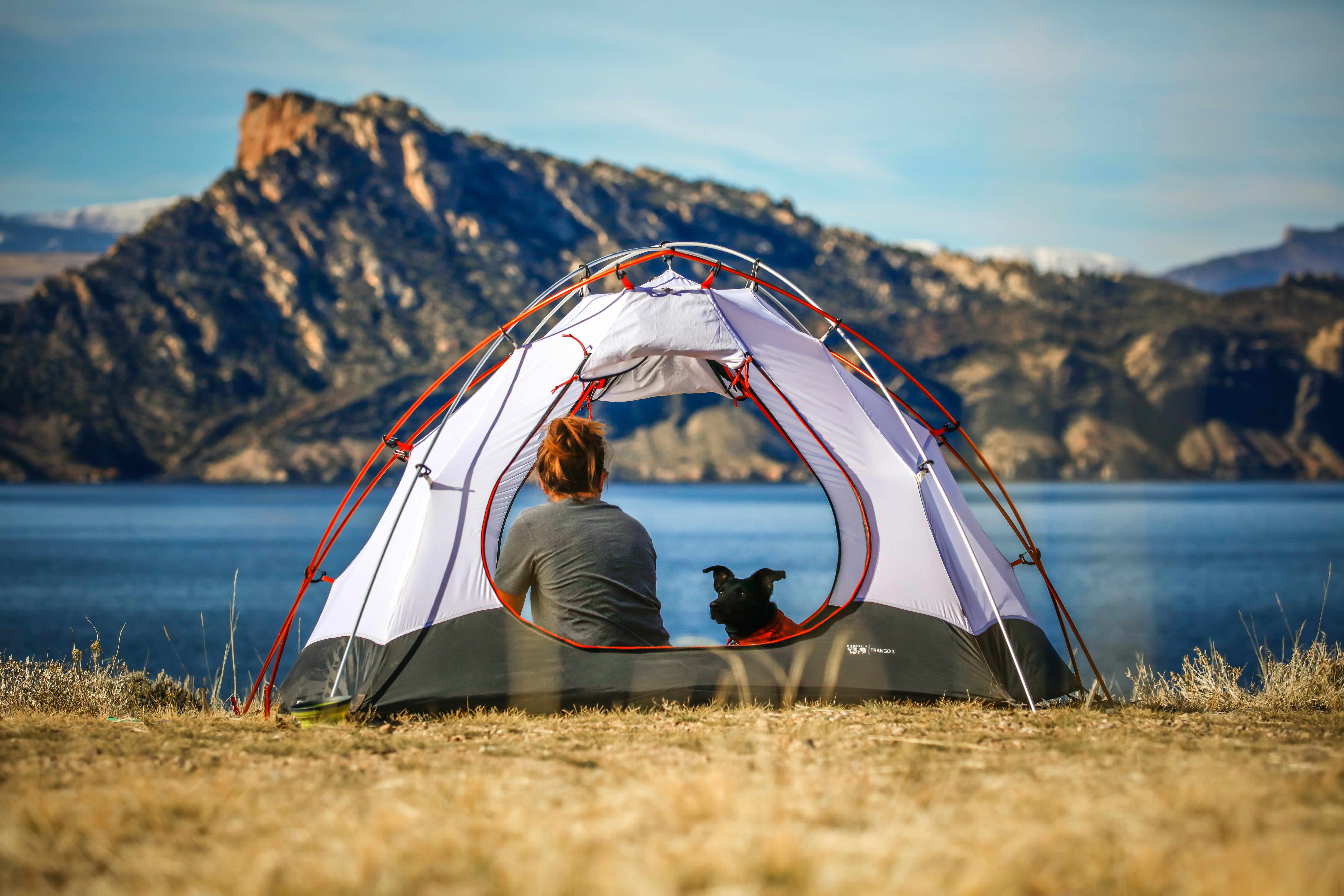 Planning a Camping Trip? Here's Why Hiring a Van Makes Sense