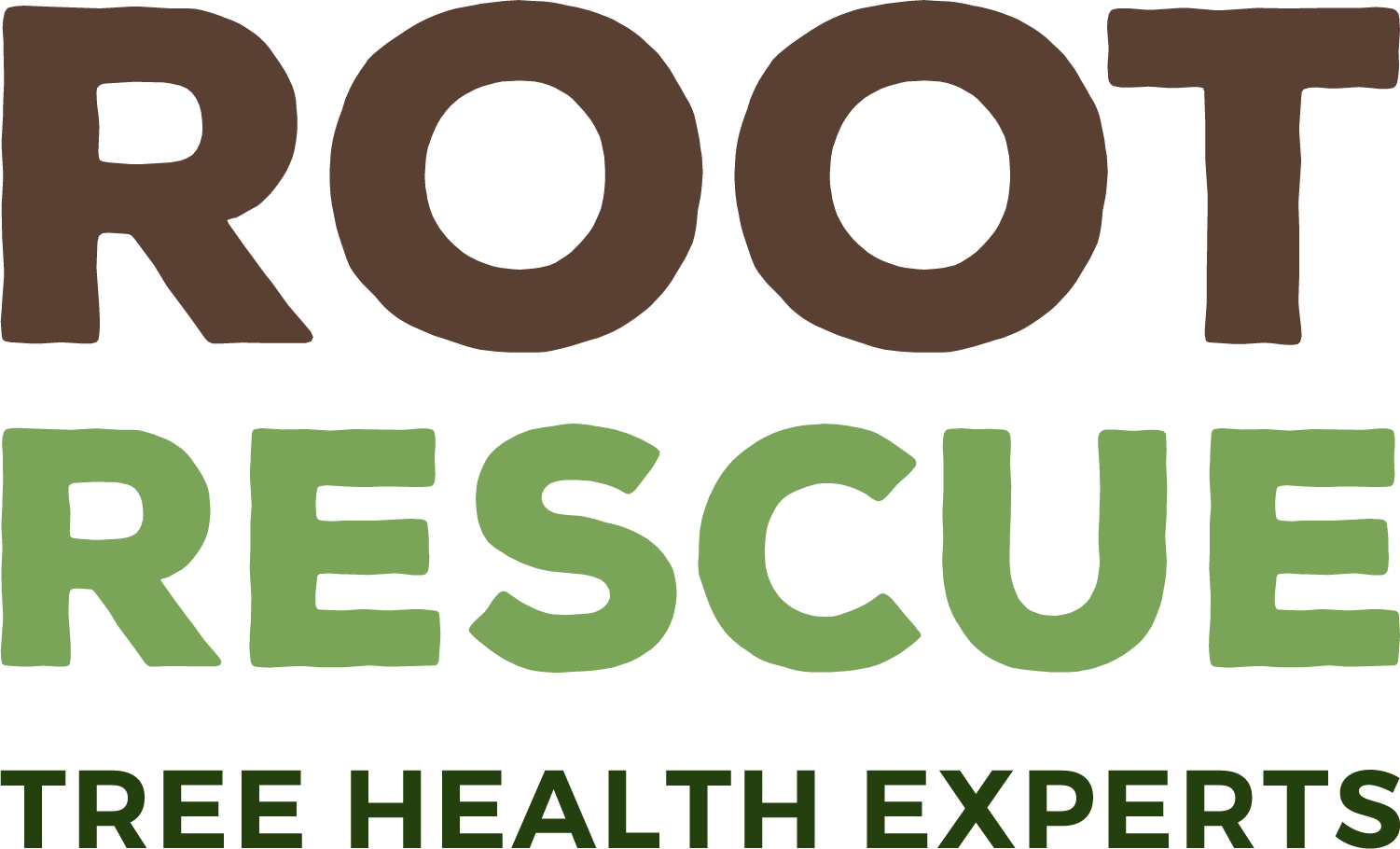 Root Rescue — tree treatment and fertilization in Sarasota, FL