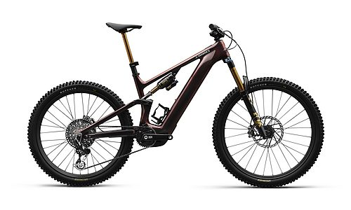 Levo S-Works Carbon G4