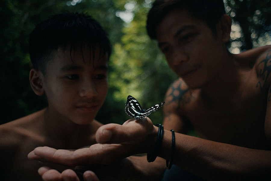 2 men looking at a butterfly in the forest