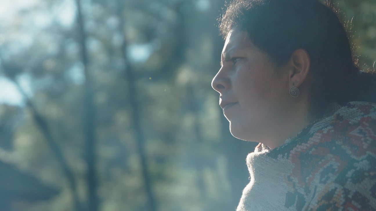 Photo of an indigenous woman looking into the distance