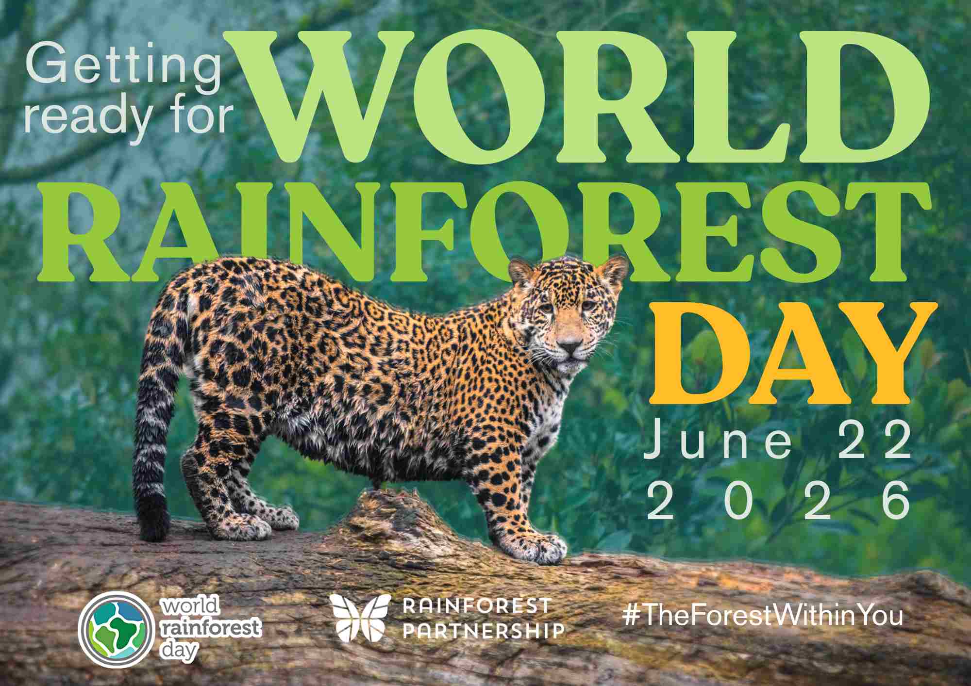 Forest Scene with Title 'World Rainforest Day'