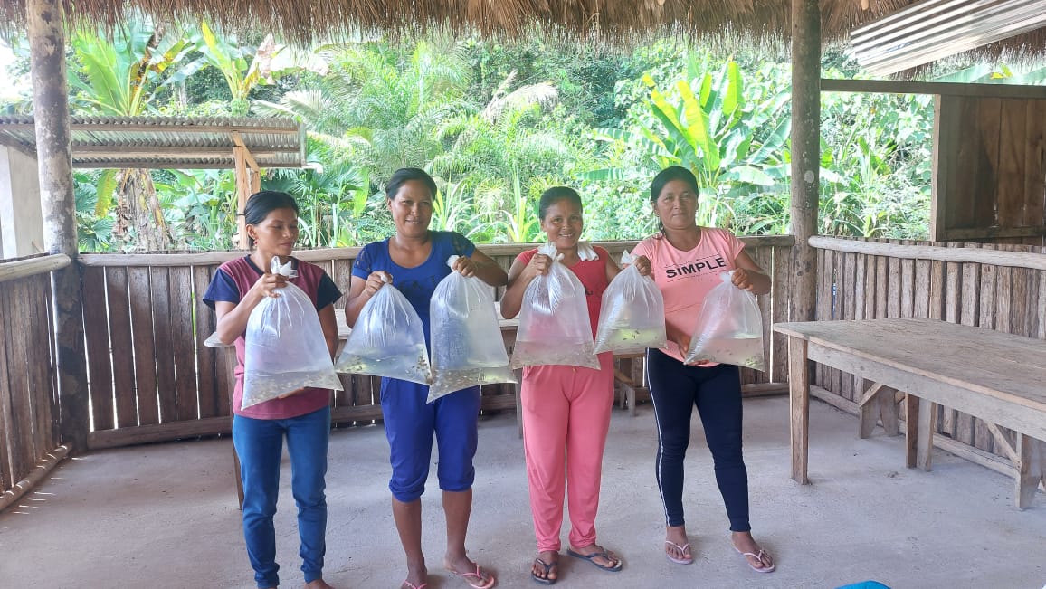 Four Kichwa Women holding bags of the young fish who will be introduced into the new fish ponds