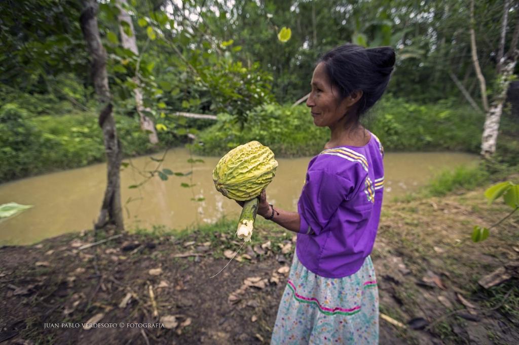 Indigenous Woman holding a cacao pod, standing near a small pond