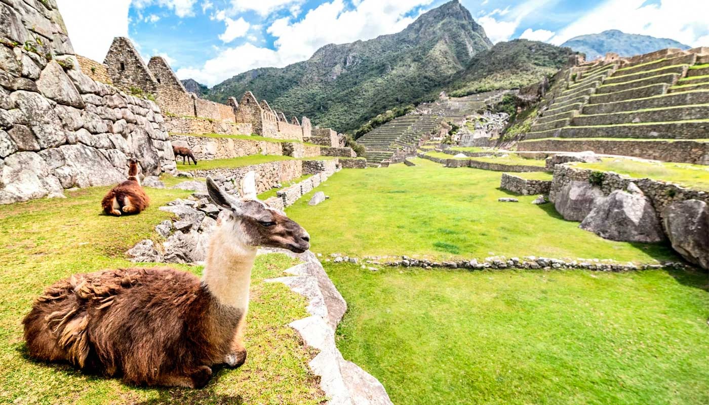 The Best Time To Visit Machu Picchu Afternoon