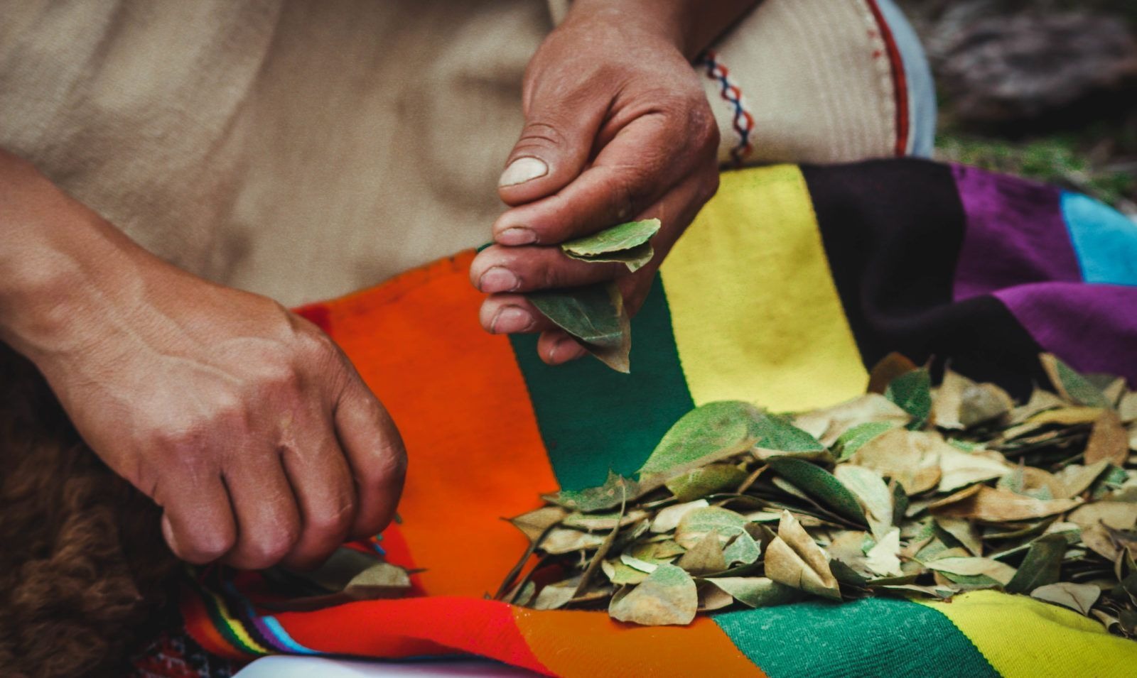 Peru Traditions Coca Leaves