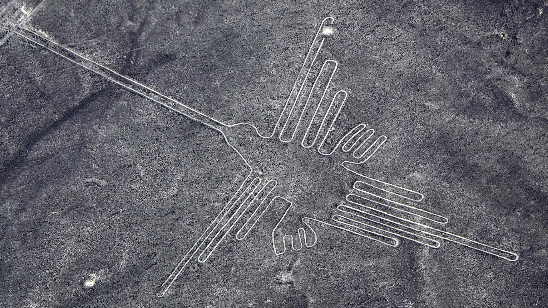 Peru In March Nazca Lines