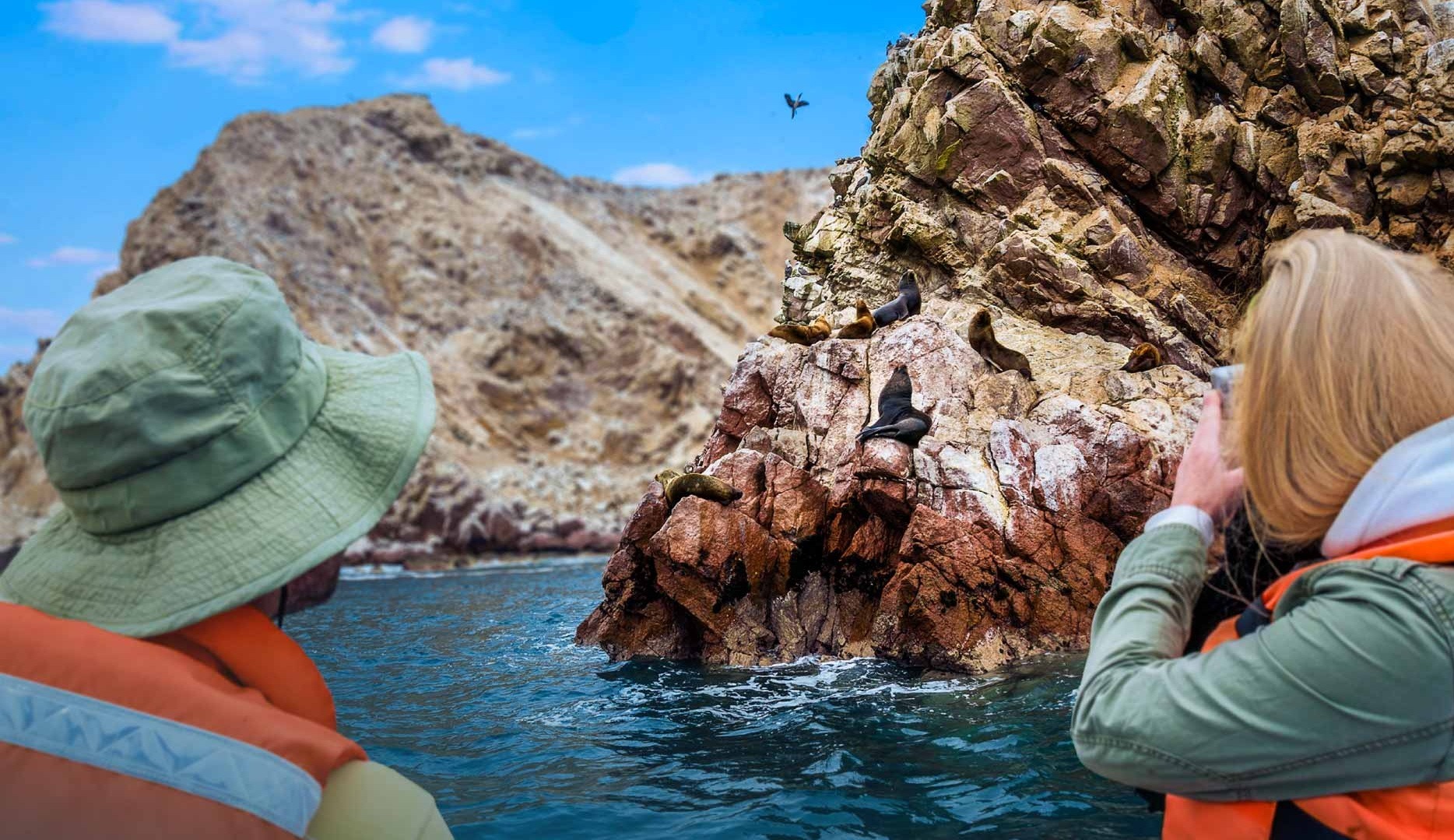 The Ballestas Islands Tour
