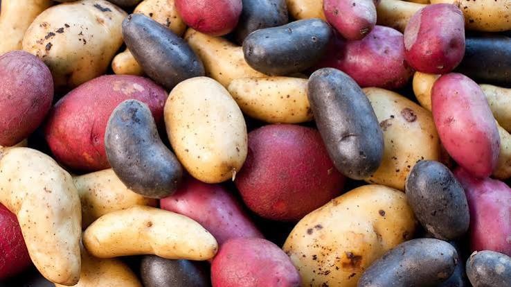 Unusual Facts About Peru Potatoes