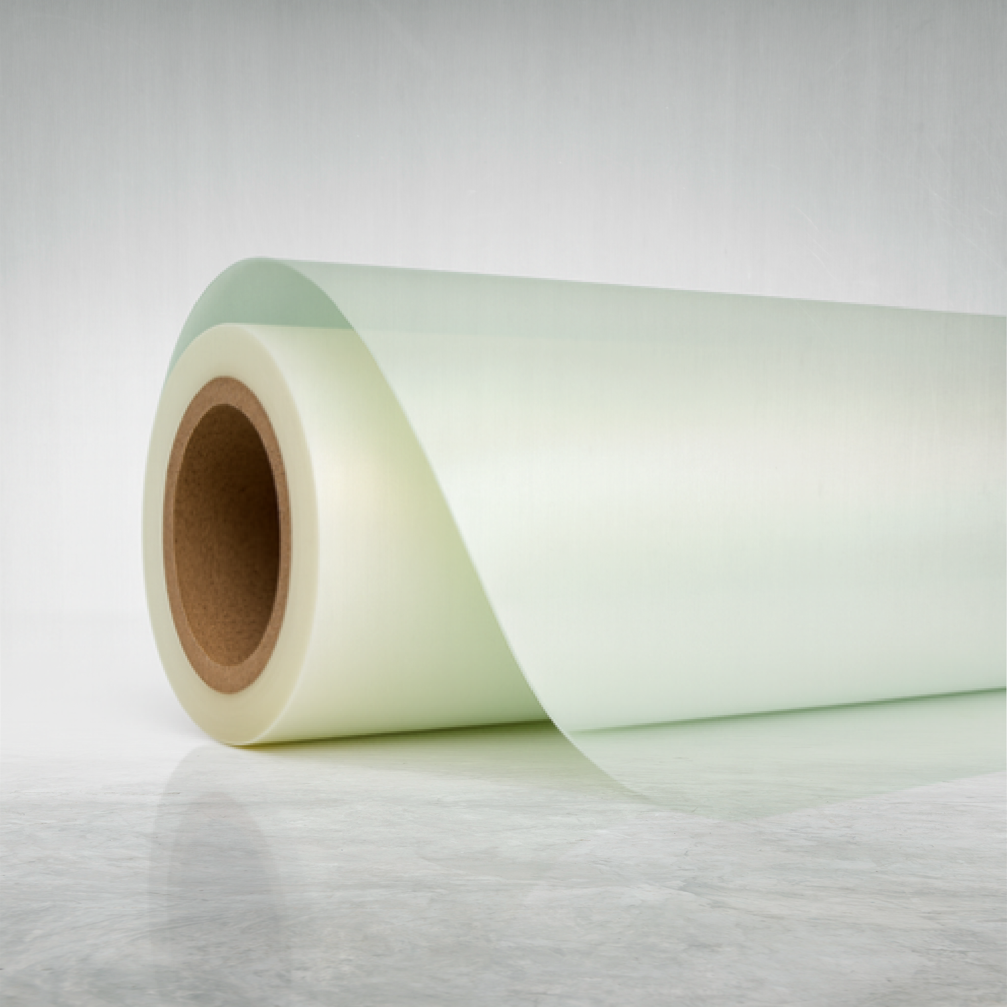 PELÍCULA PET CAMALEÓN