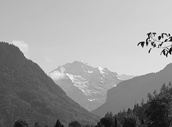 Jungfrau Region