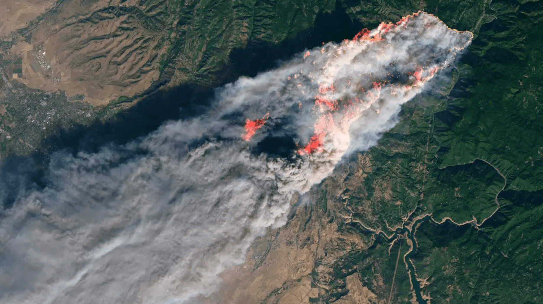 Aerial photo of a fire in a forest.