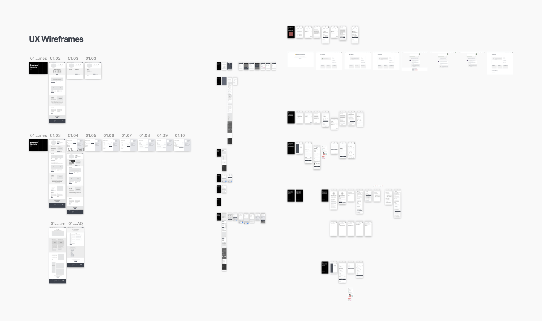 Screenshot of some Evernow wireframes.
