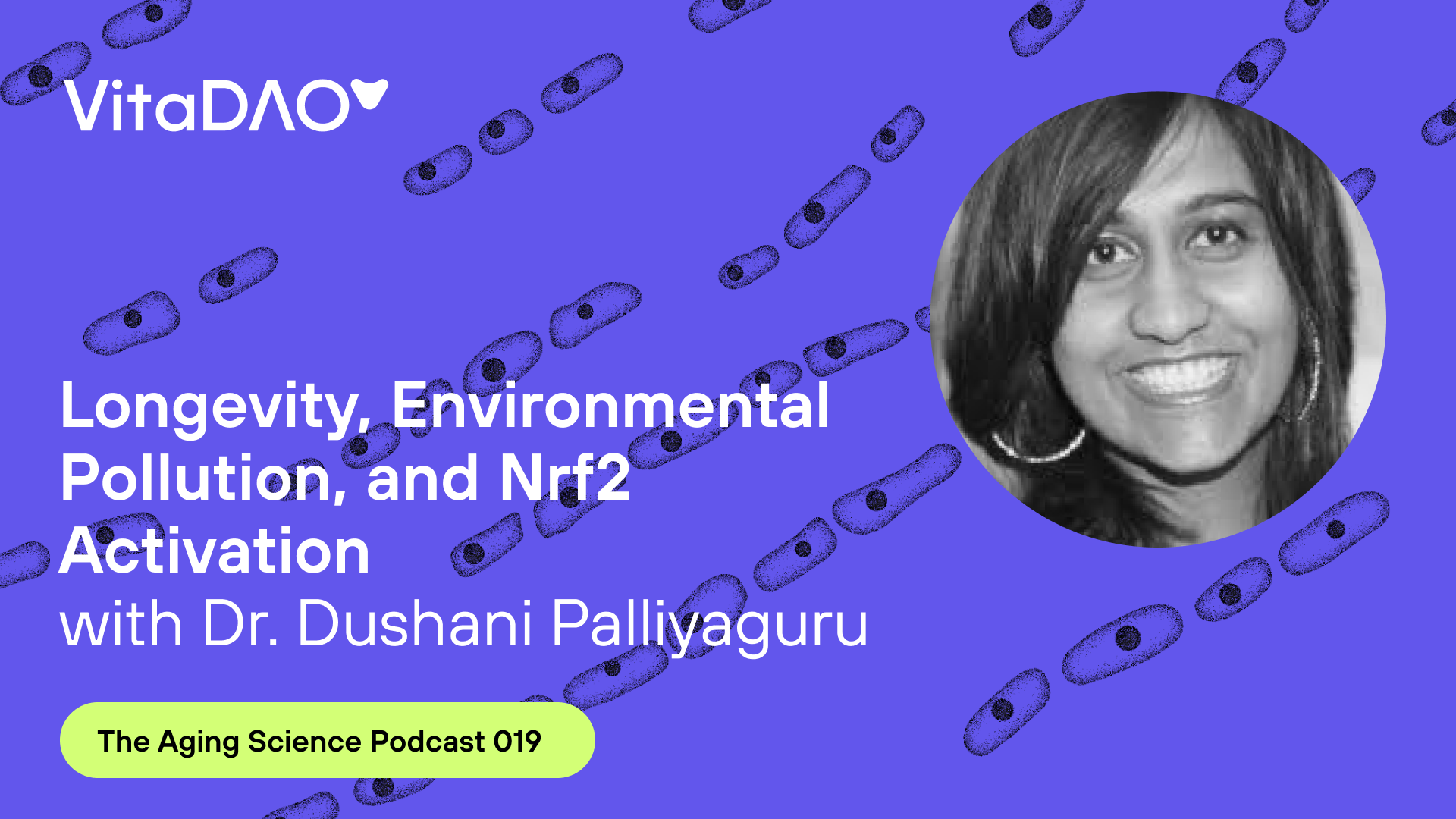 Longevity, Environmental Pollution, and Nrf2 Activation with Dr. Dushani Palliyaguru - The VitaDAO Aging Science Podcast 