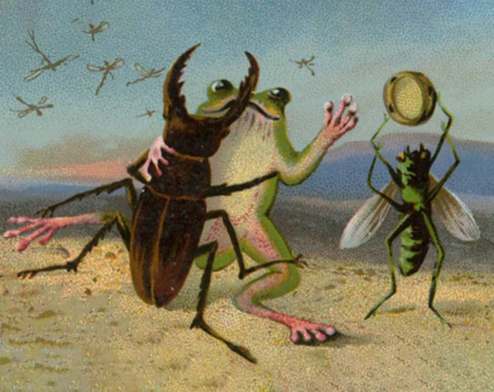 Beetle dancing with a frog
