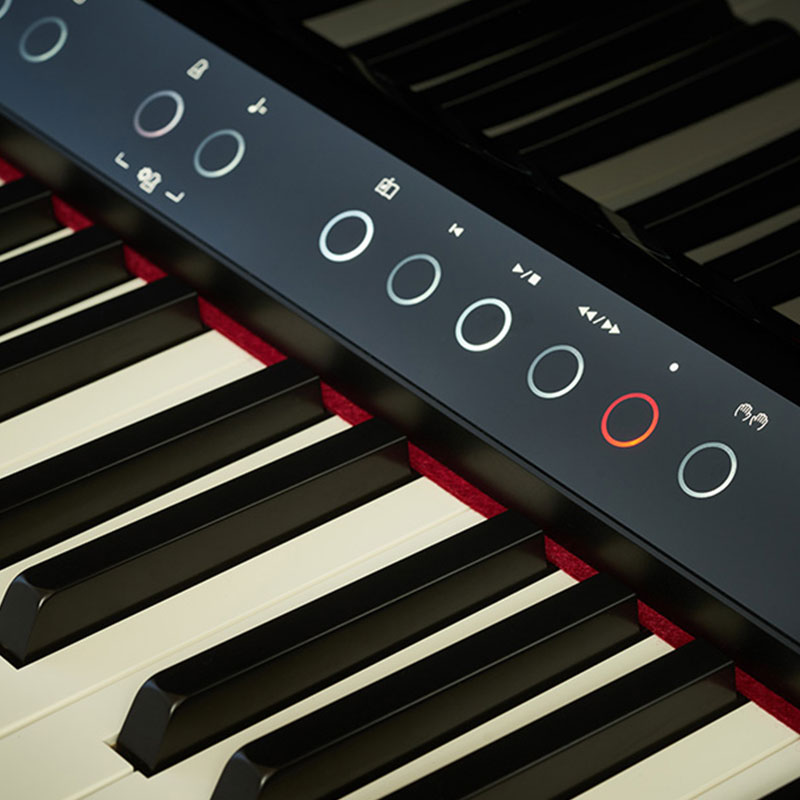 Close up of Roland Digital Piano keys
