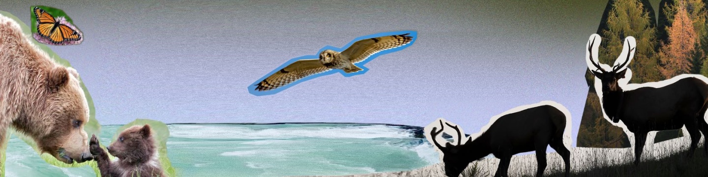 Ecojustice