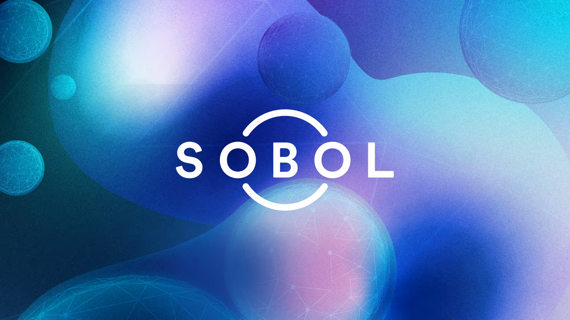Sobol logo design and graphic motif