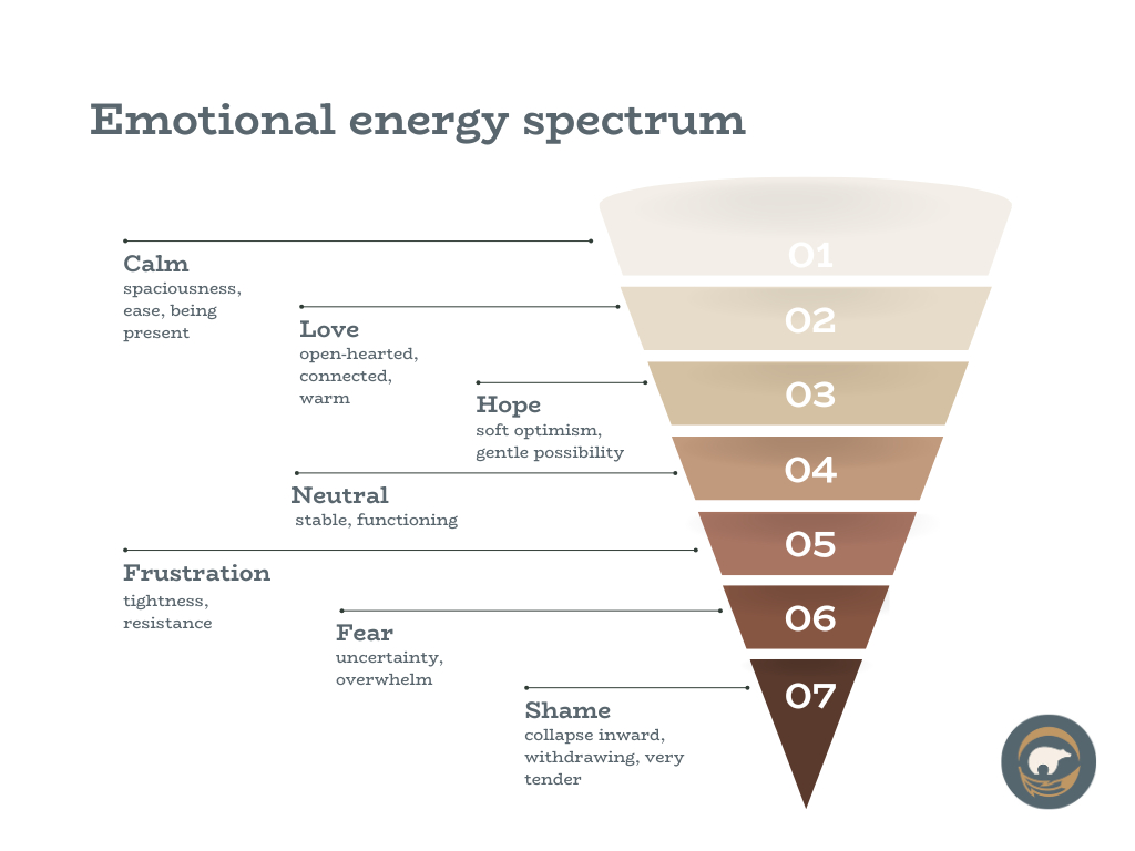 the emotional energy spectrum with frequencies ranging from low vibration emotions like shame to high vibration emotions like calm