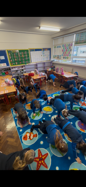 Sisters of Charity NS-2026-01-30T14:42:43.241Z