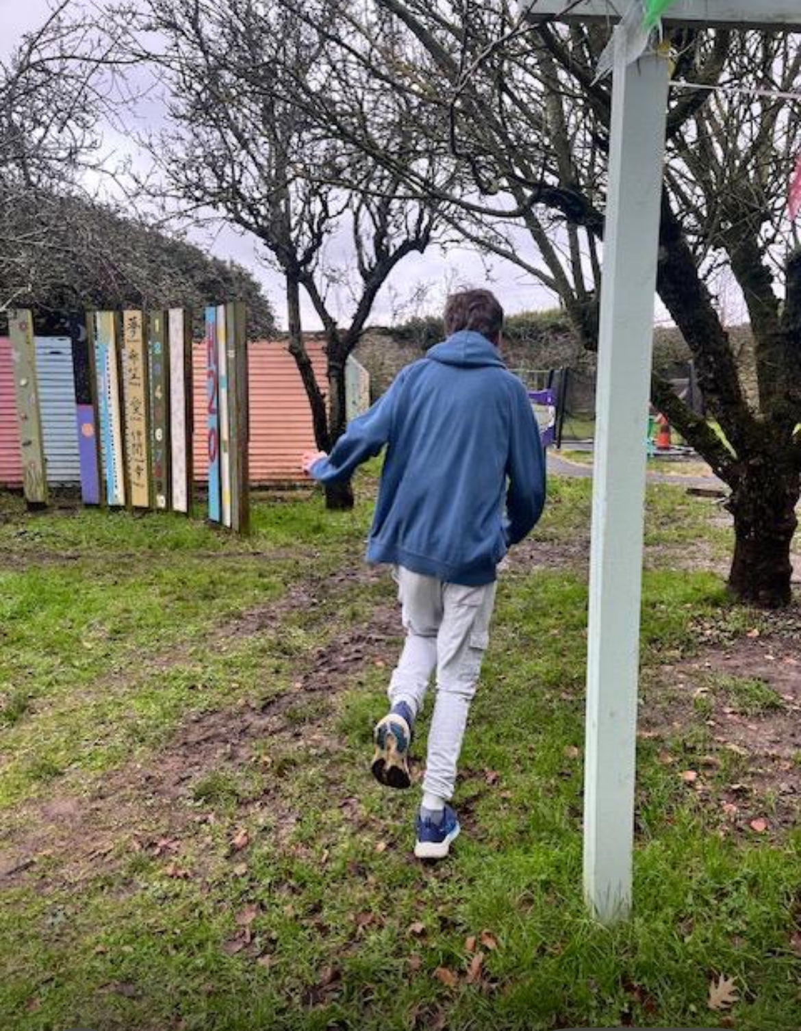 Saplings Rathfarnham Special School-2026-02-06T15:53:14.256Z