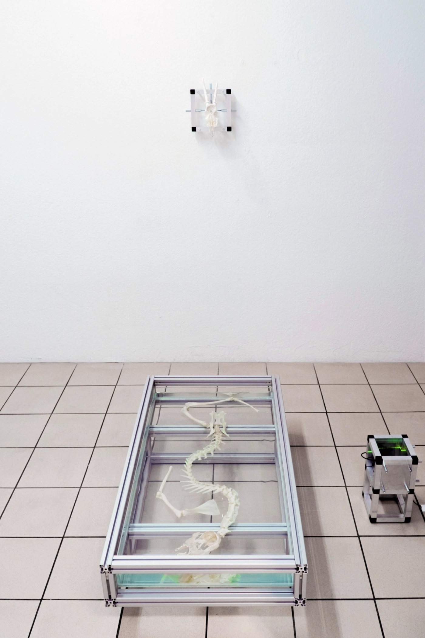 The Clinic of the Unbodied, Herwig Scherabon, Berlin, Culterim, art exibition
