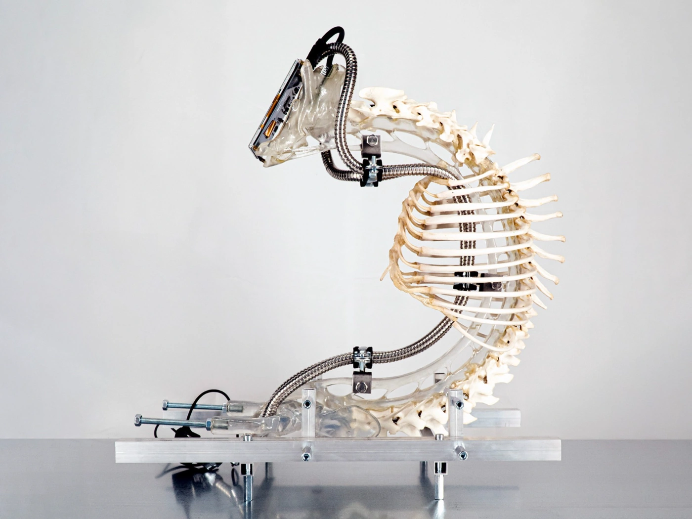 The Clinic of the Unbodied, Herwig Scherabon, Berlin, Culterim, art exibition