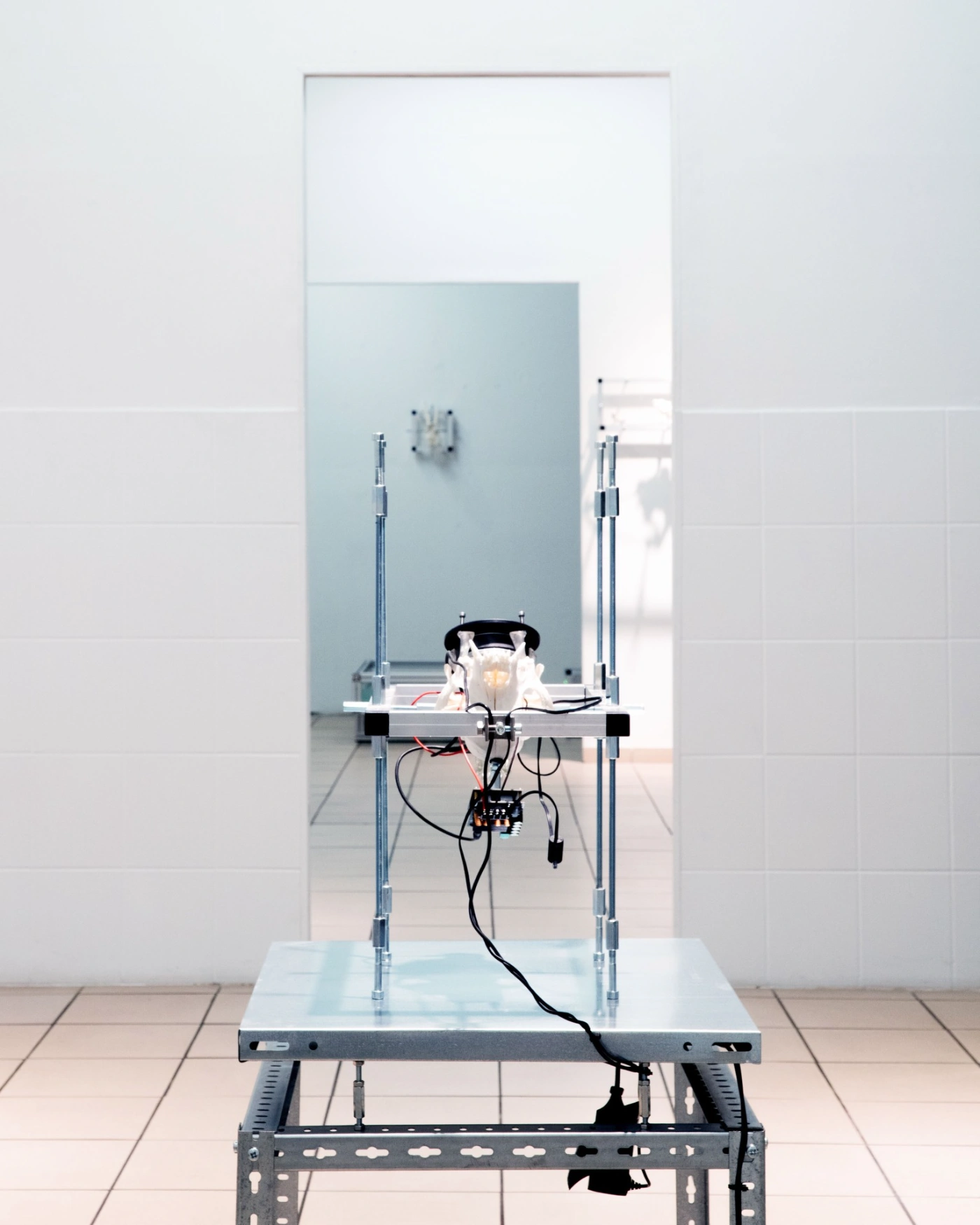 The Clinic of the Unbodied, Herwig Scherabon, Berlin, Culterim, art exibition
