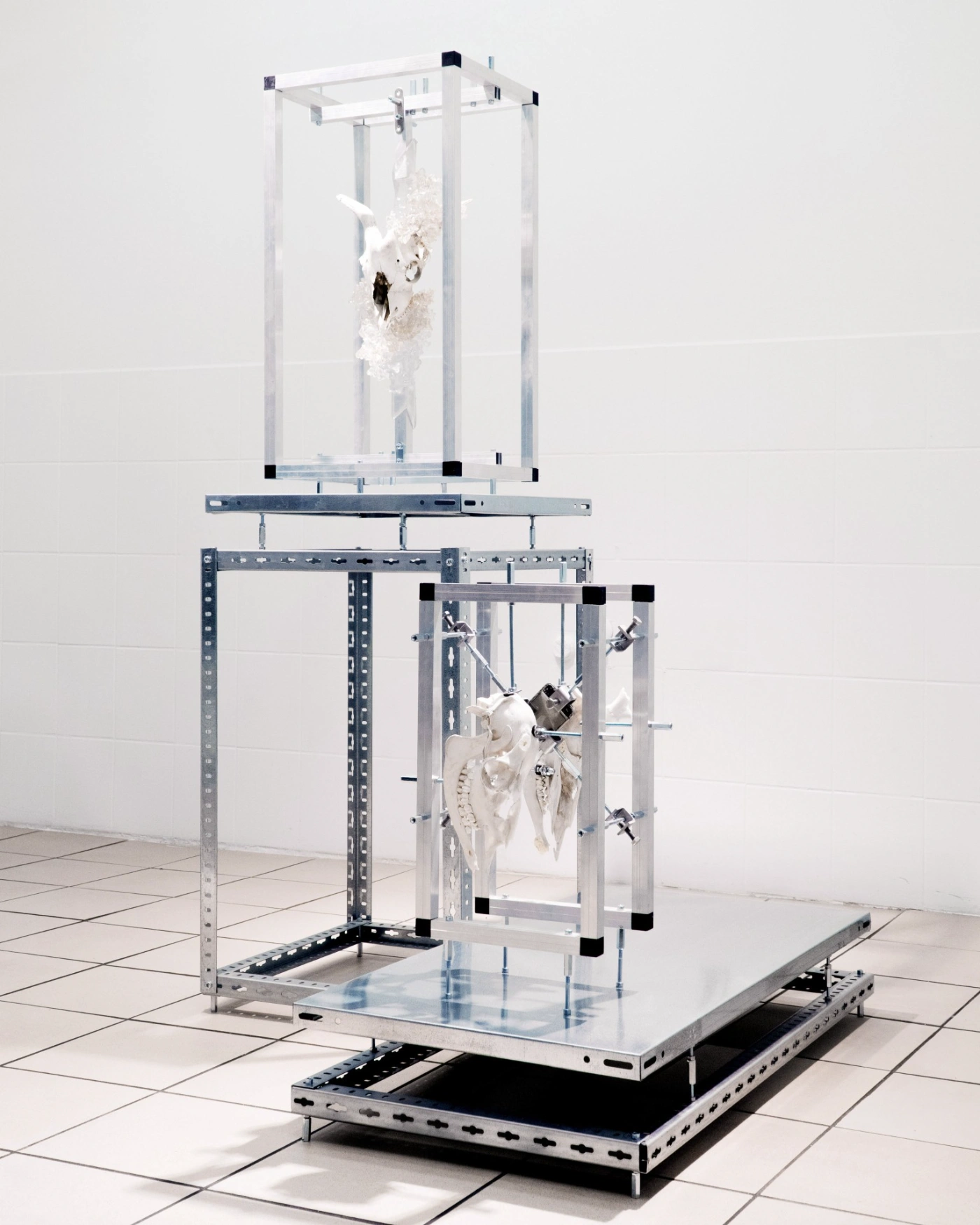 The Clinic of the Unbodied, Herwig Scherabon, Berlin, Culterim, art exibition