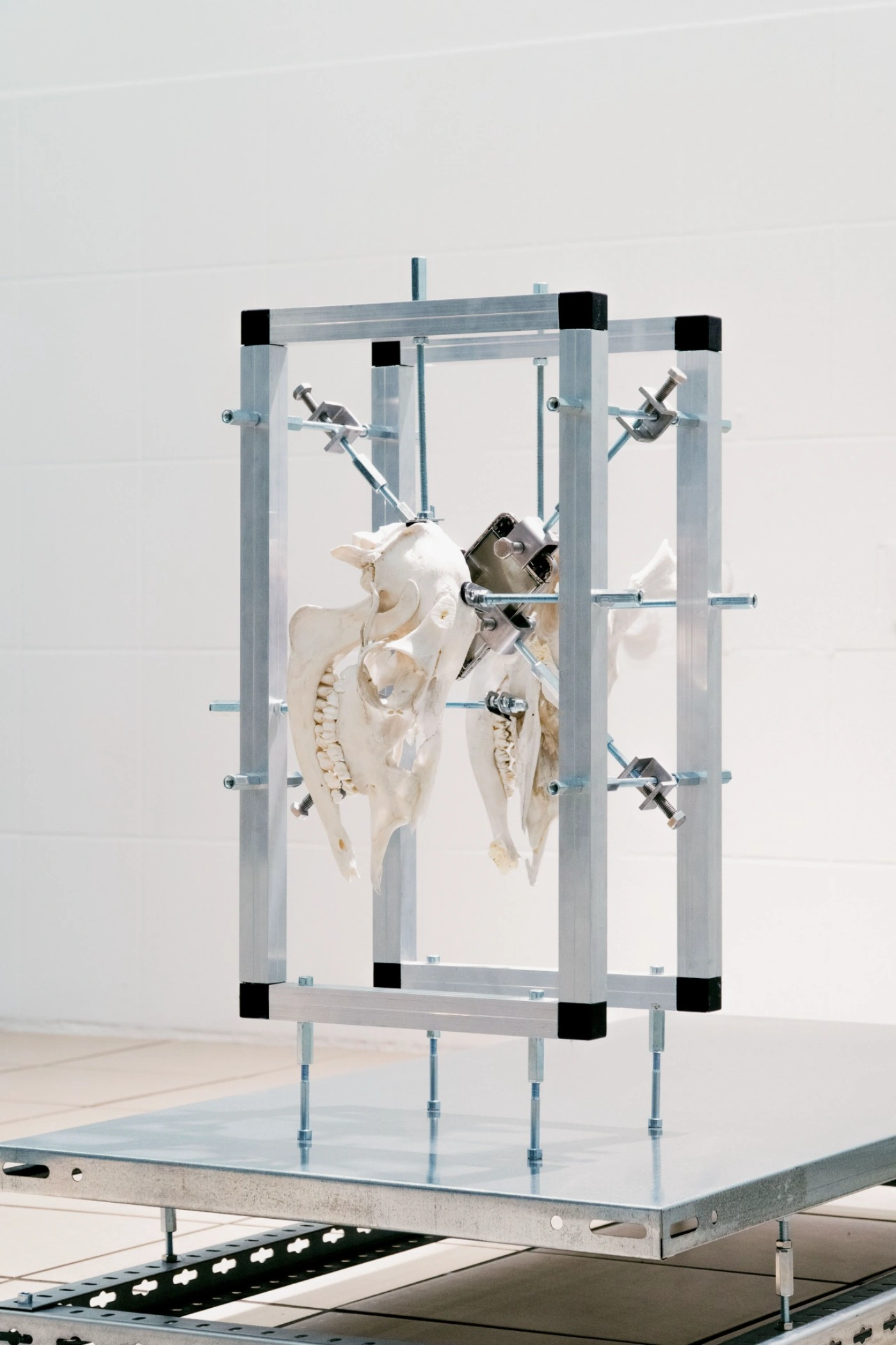 The Clinic of the Unbodied, Herwig Scherabon, Berlin, Culterim, art exibition