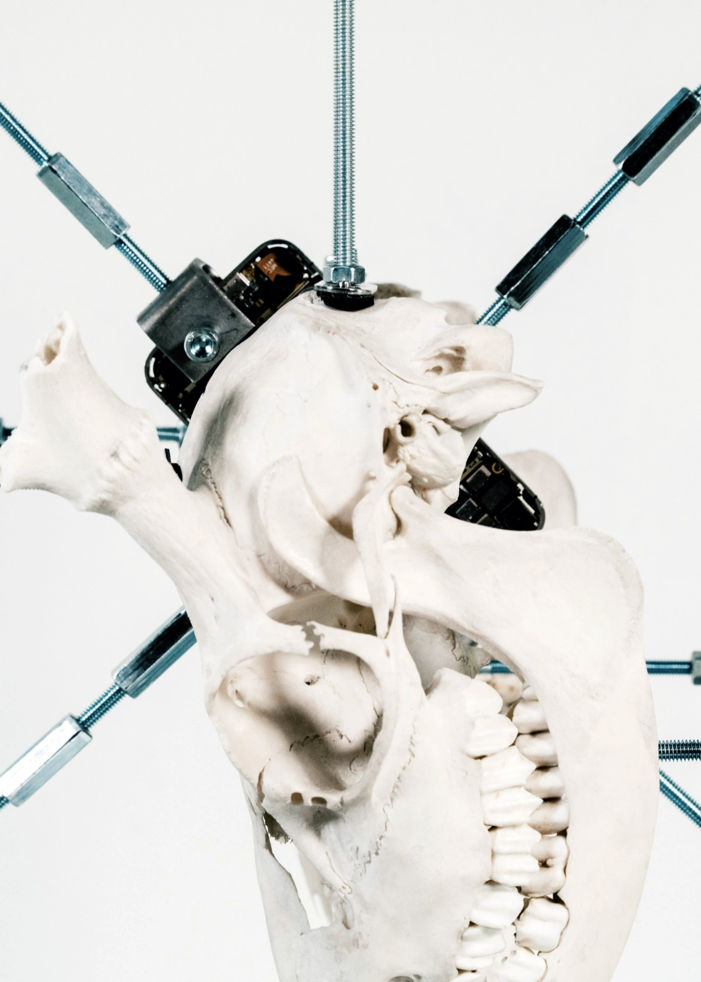 The Clinic of the Unbodied, Herwig Scherabon, Berlin, Culterim, art exibition