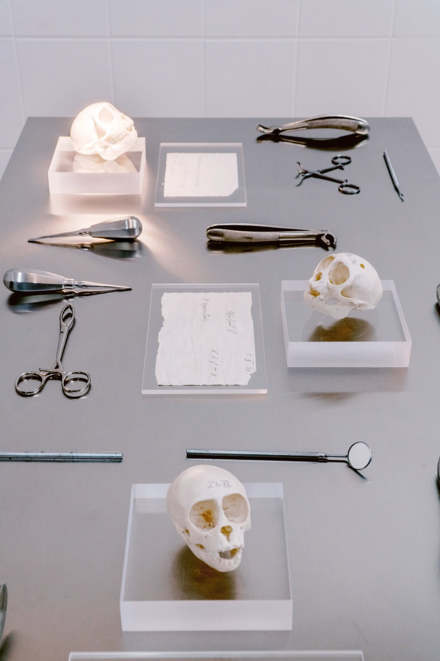 The Clinic of the Unbodied, Herwig Scherabon, Berlin, Culterim, art exibition
