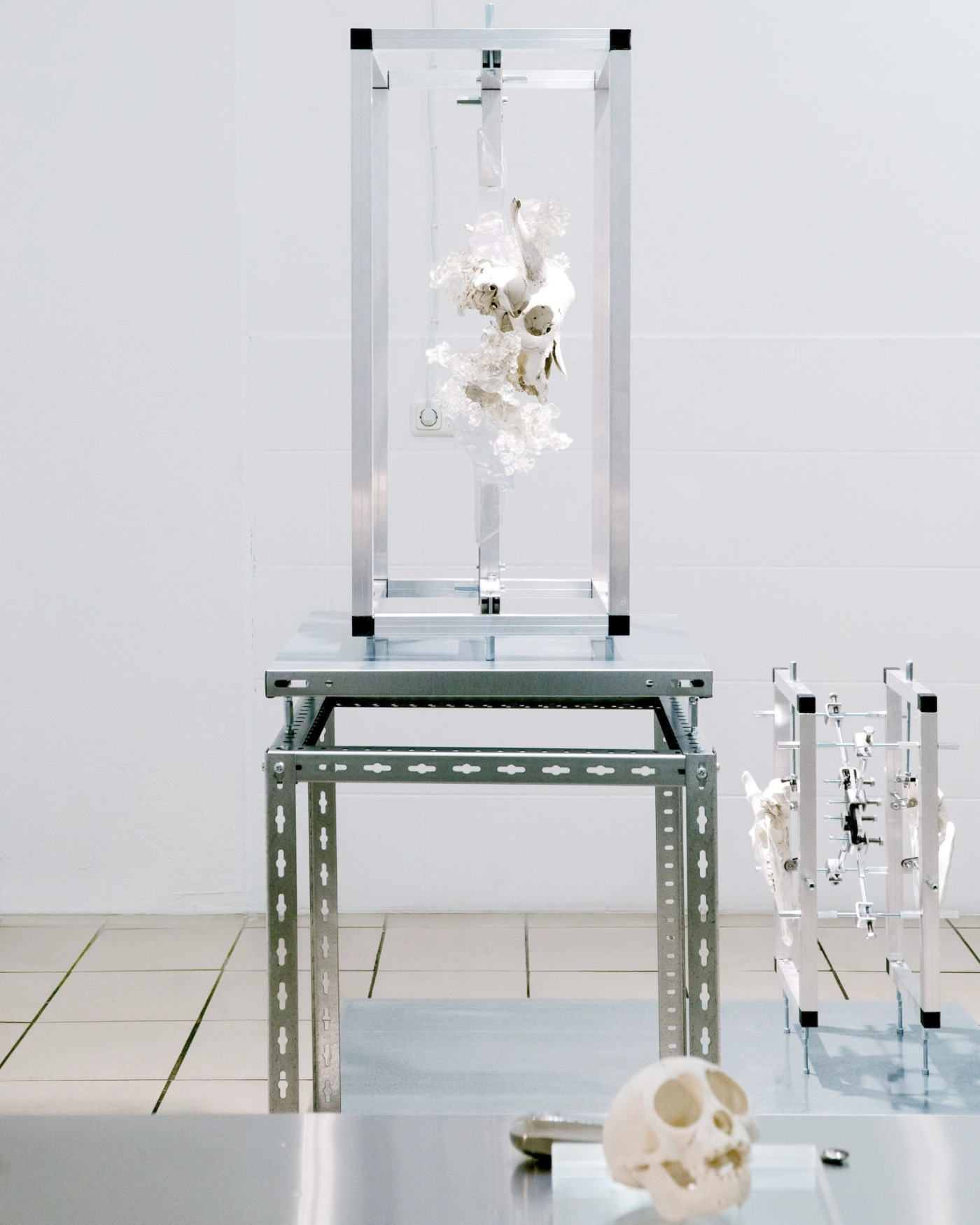 The Clinic of the Unbodied, Herwig Scherabon, Berlin, Culterim, art exibition