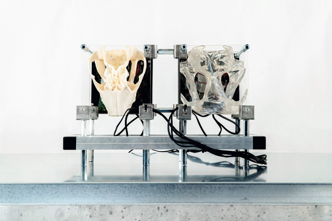 The Clinic of the Unbodied, Herwig Scherabon, Berlin, Culterim, art exibition