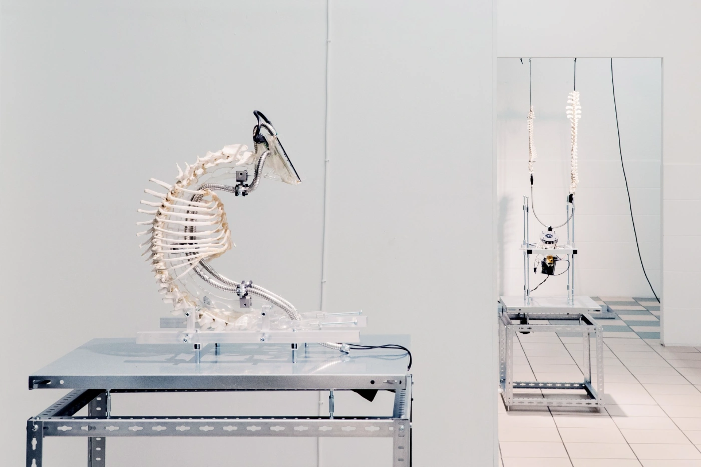 The Clinic of the Unbodied, Herwig Scherabon, Berlin, Culterim, art exibition