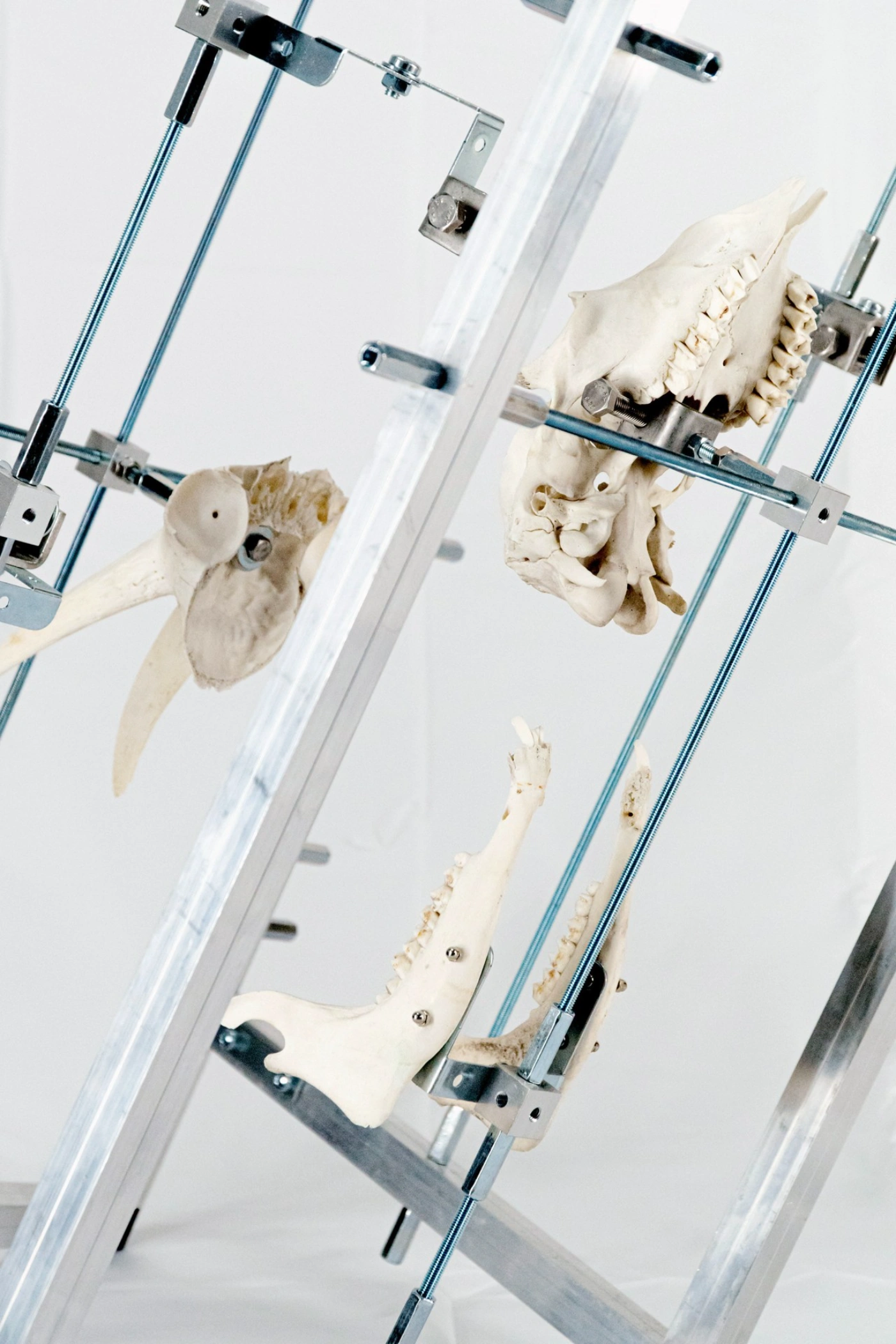 The Clinic of the Unbodied, Herwig Scherabon, Berlin, Culterim, art exibition