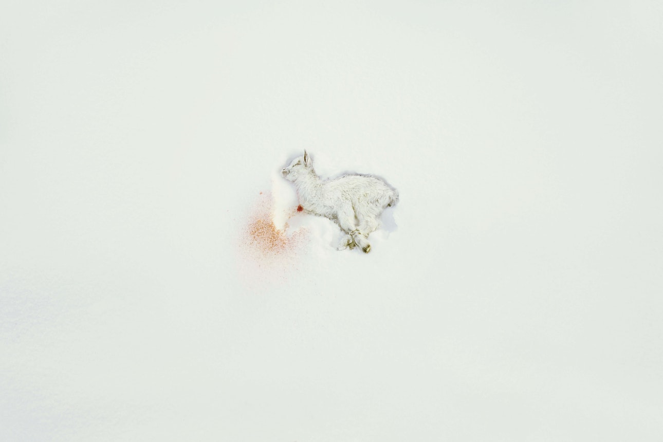 Igor Elukov’s “Book of Miracles” and the Theology of the Tundra, photography, russia, spirituality