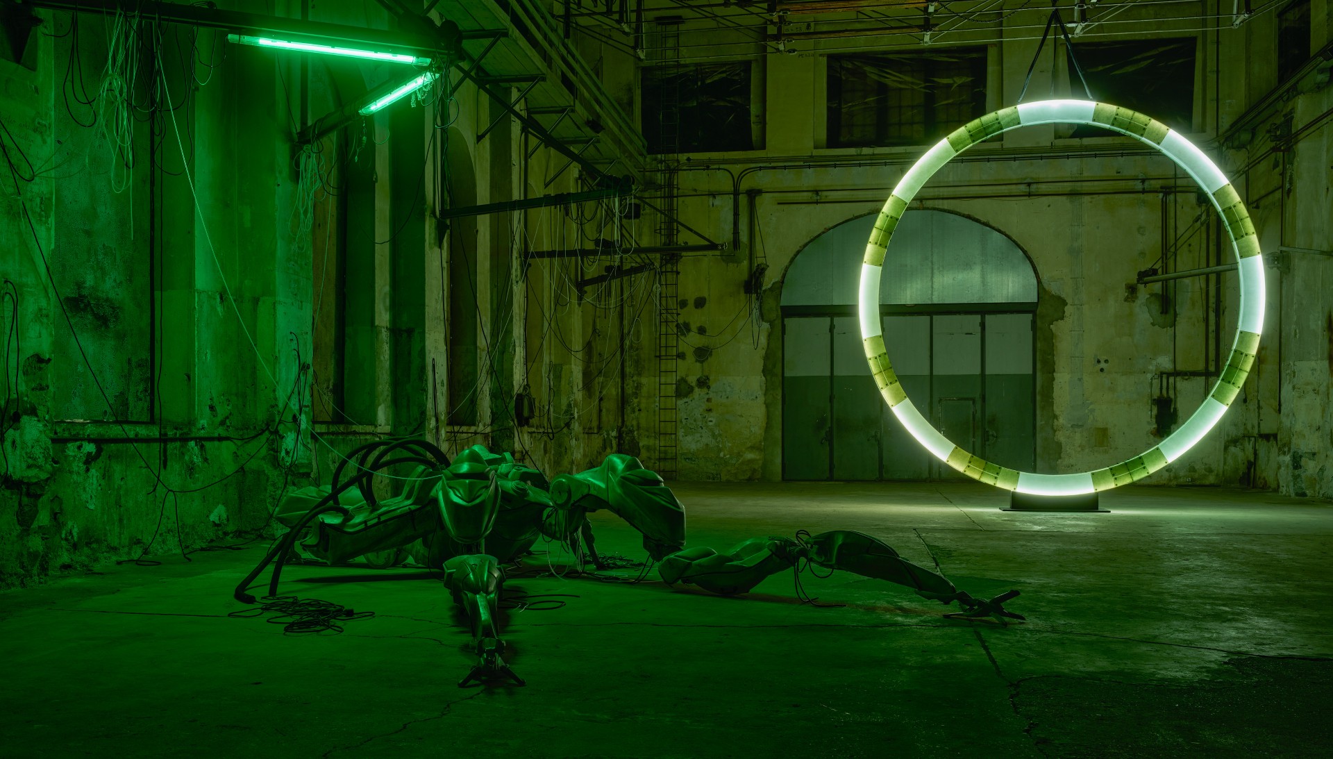 Installation view of Davide Allieri at Kunstraum Dornbirn, fibreglass sculptures and cable network in atmospheric haze, 2026