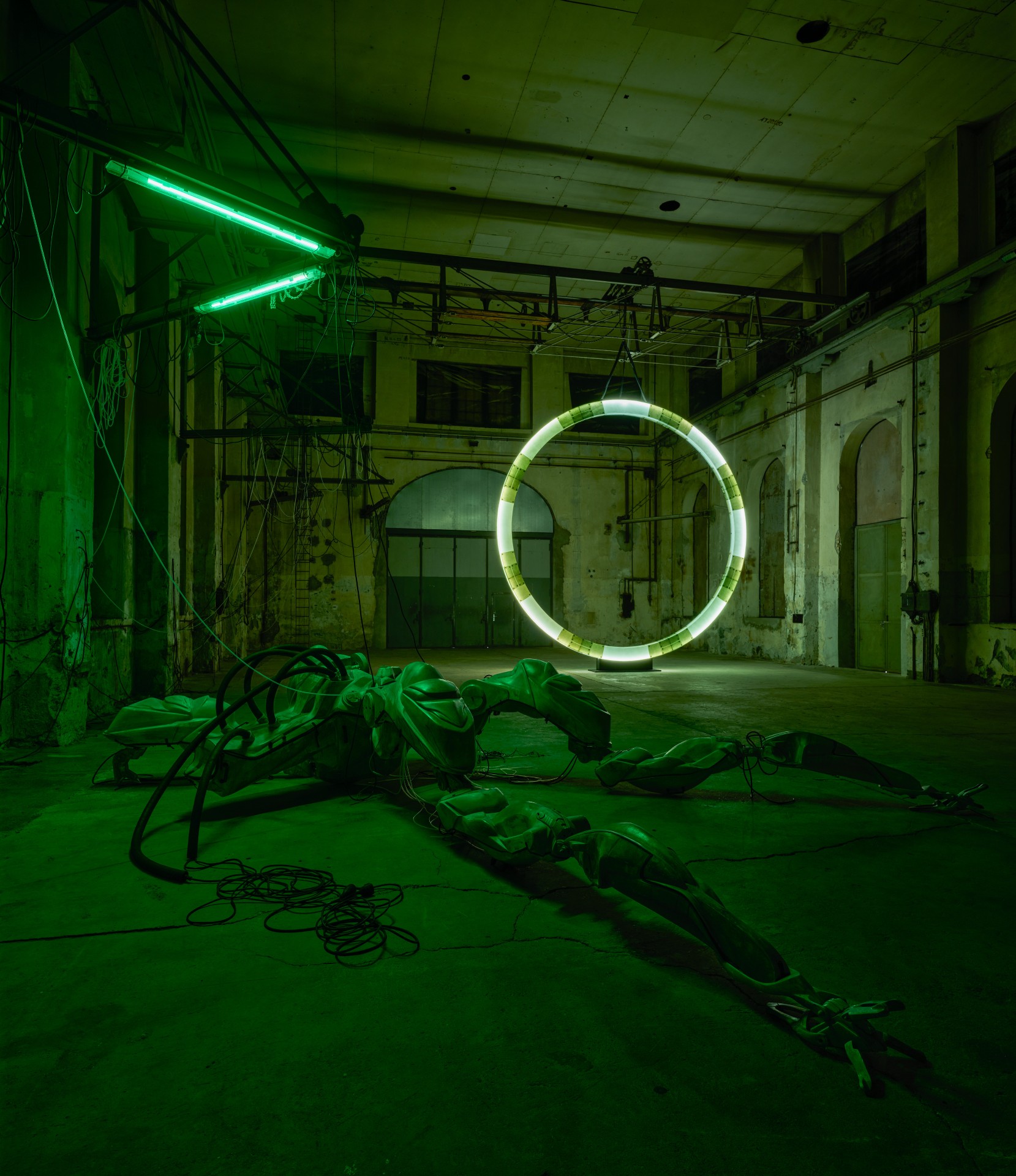 Wide view of Davide Allieri's fibreglass sculptures and cable network in the former Vorarlberg metal industry hall, Kunstraum Dornbirn 2026