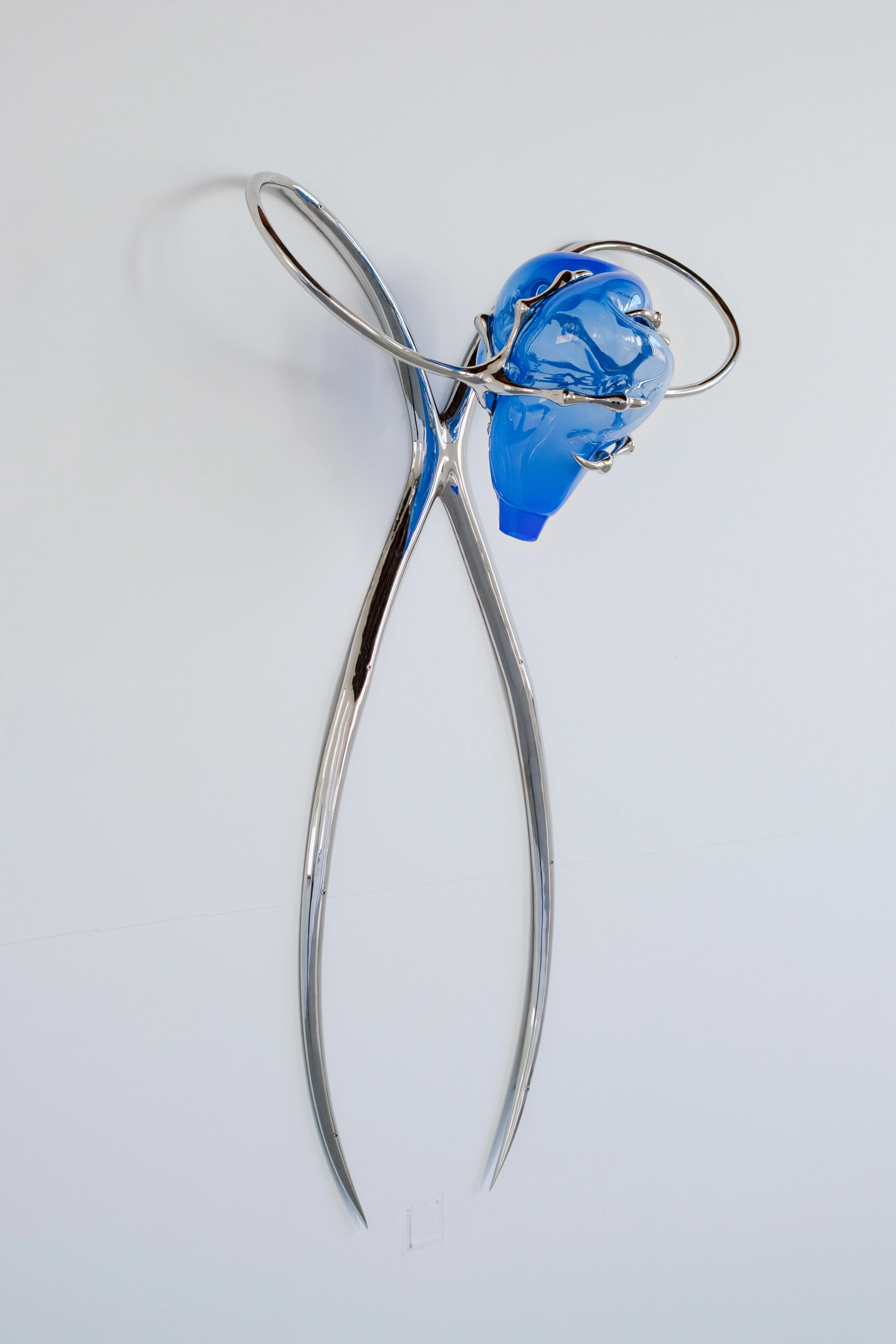 Hannah Levy, wall-mounted sculpture of two crossed steel loops clutching a bulb of cobalt glass, reading as a pair of surgical scissors caught mid-grip
