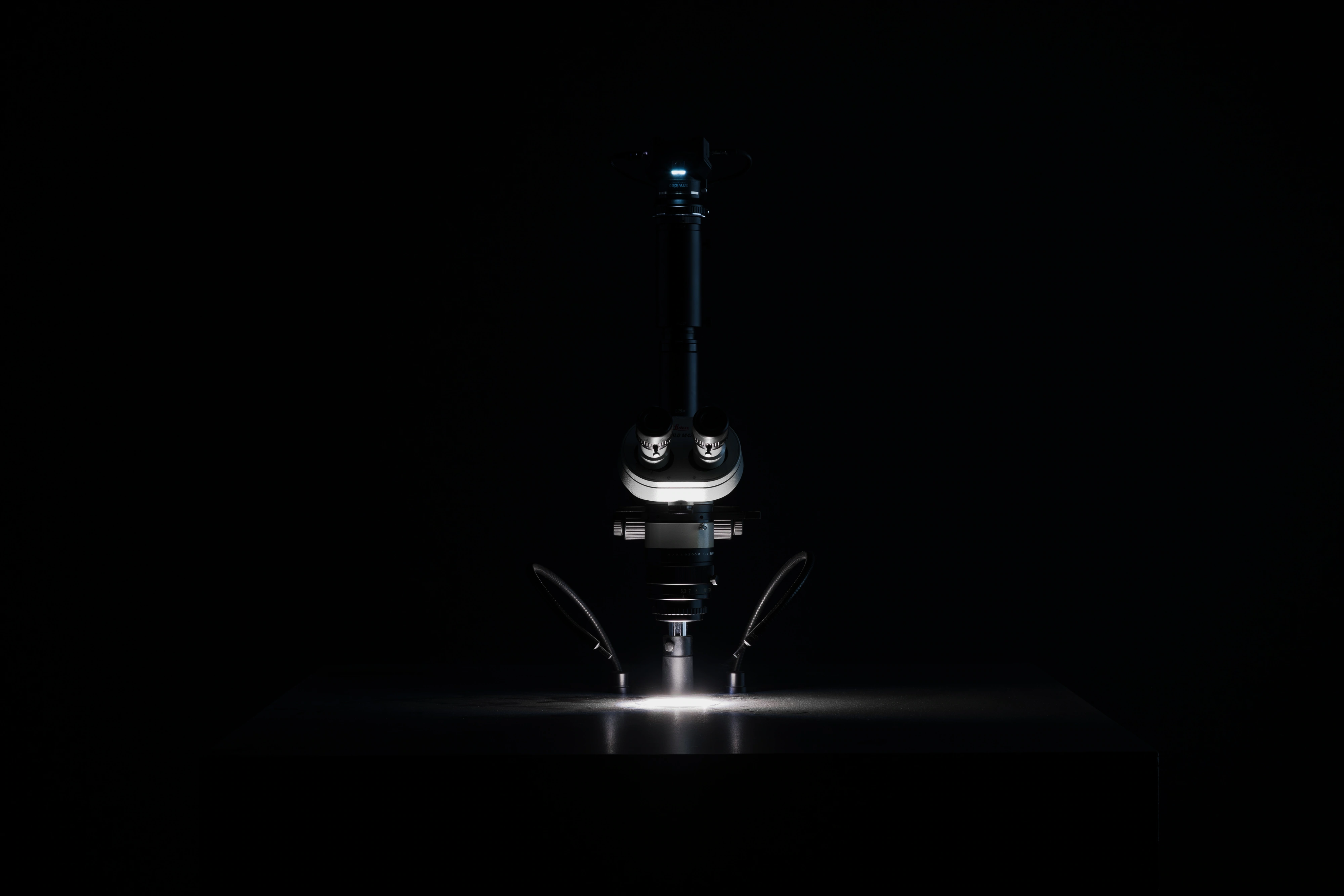 Research microscope on black plinth illuminated from below against total darkness, Strange Rules, Palazzo Diedo, Venice, 2026