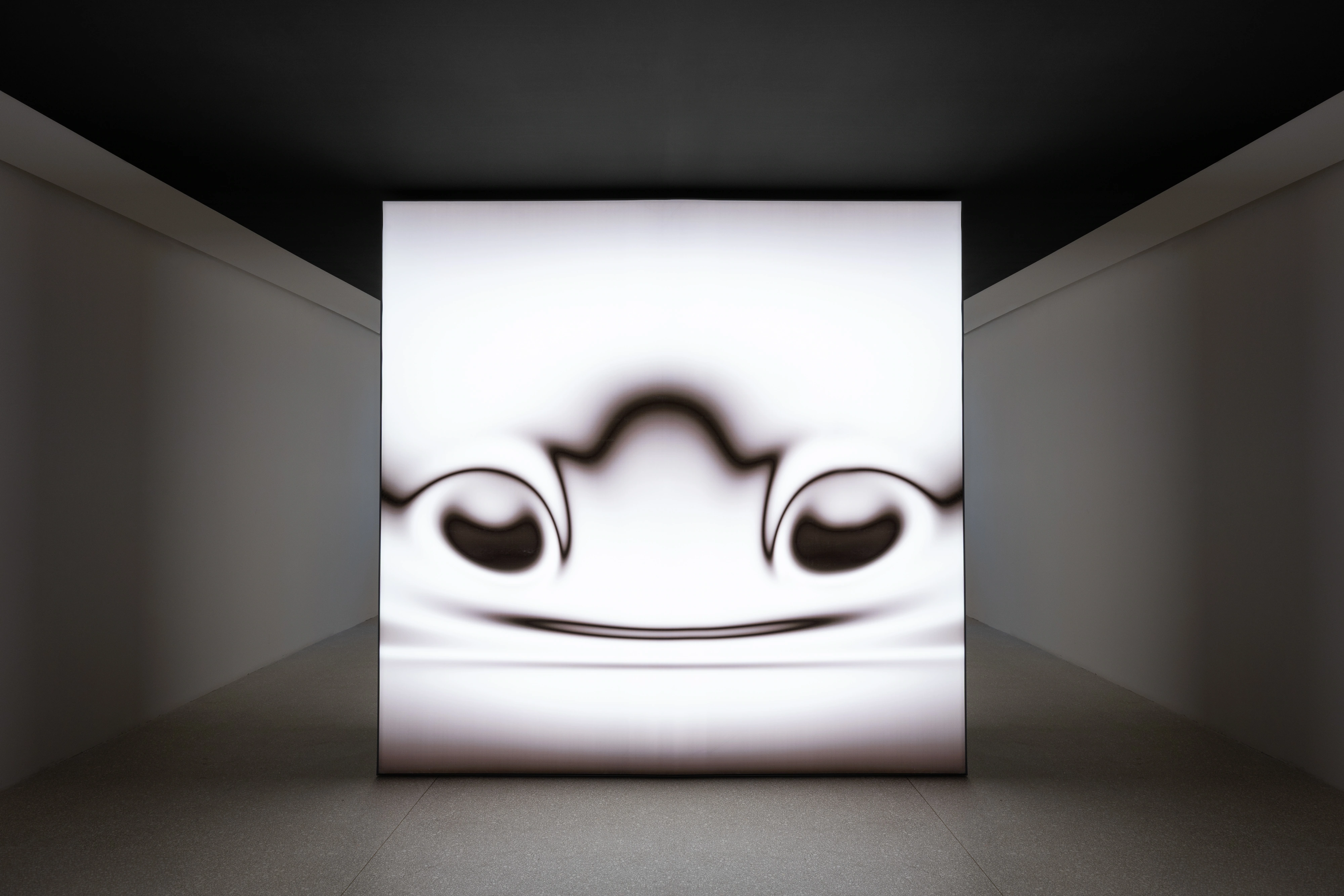 Picbreeder-evolved projection, bulbous frog-like face with soft shadow gradients on white ground, large-scale display, Strange Rules, Palazzo Diedo