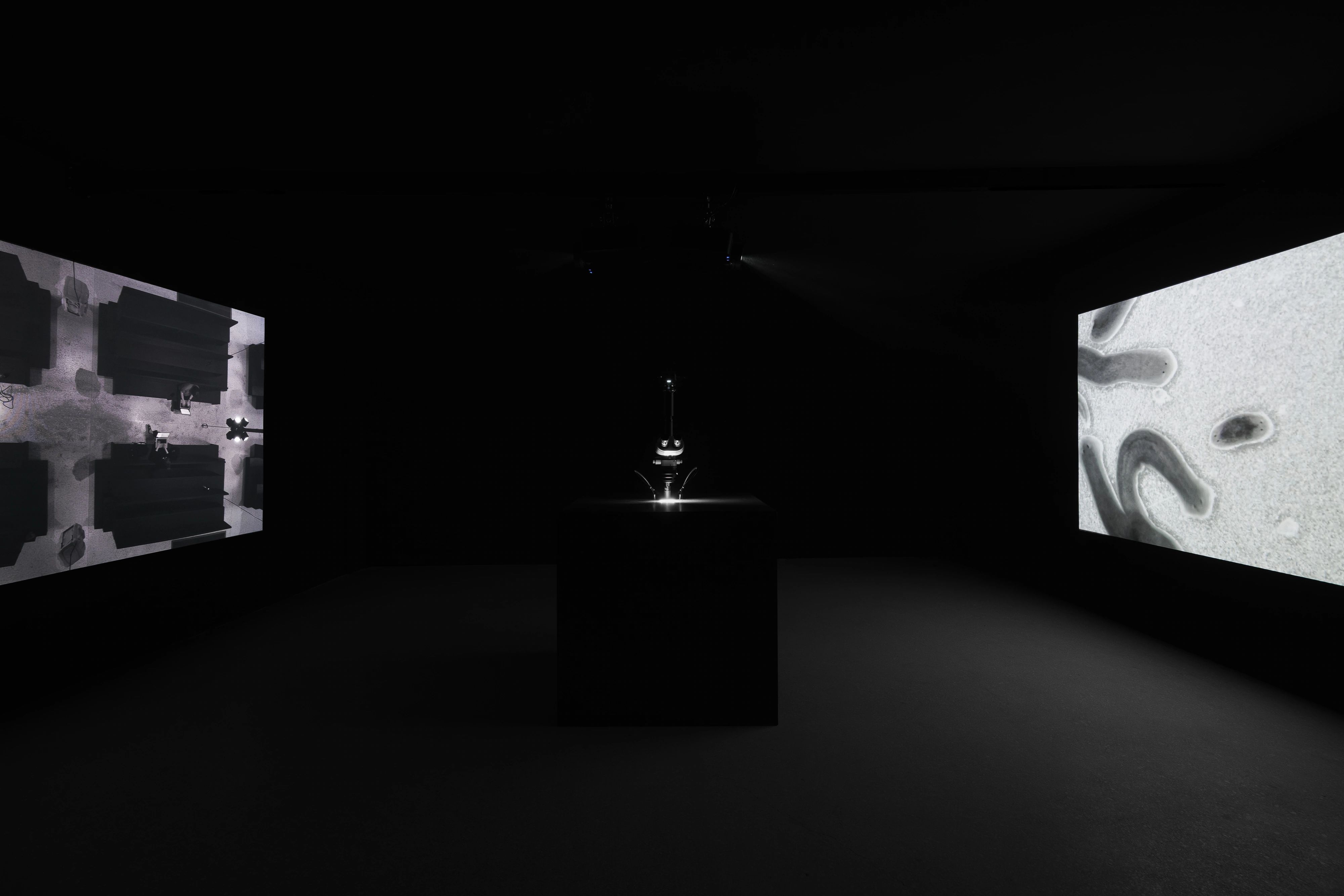 Installation views of Strange Rules at Palazzo Diedo, Venice, 2026, curated by Mat Dryhurst, Holly Herndon, Hans Ulrich Obrist and Adriana Rispoli, featuring works engaging protocol, AI, and biological research.