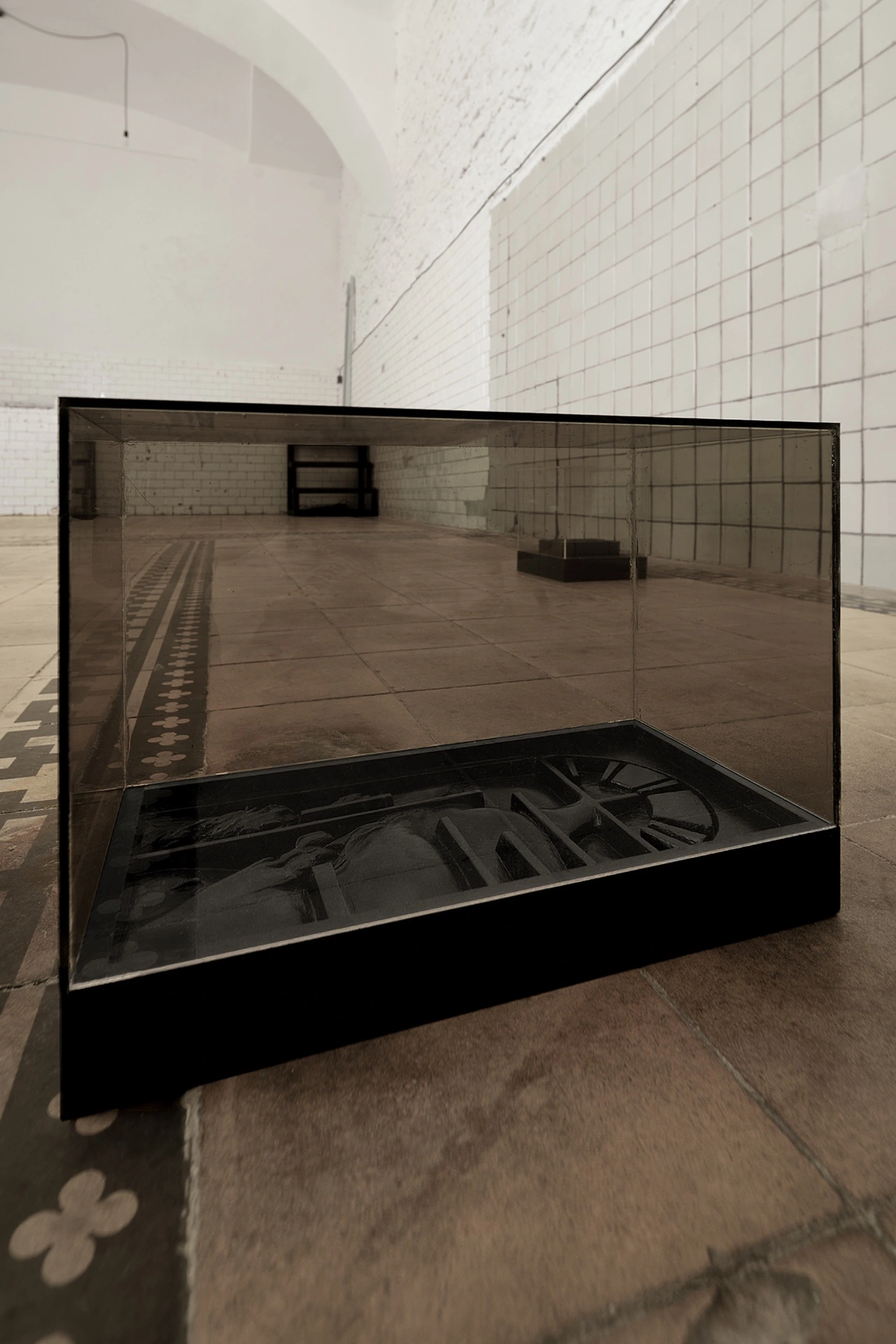 Sofiia Yesakova, display vitrine with smoked glass panels reflecting main hall, black anatomical relief model inside, 2026